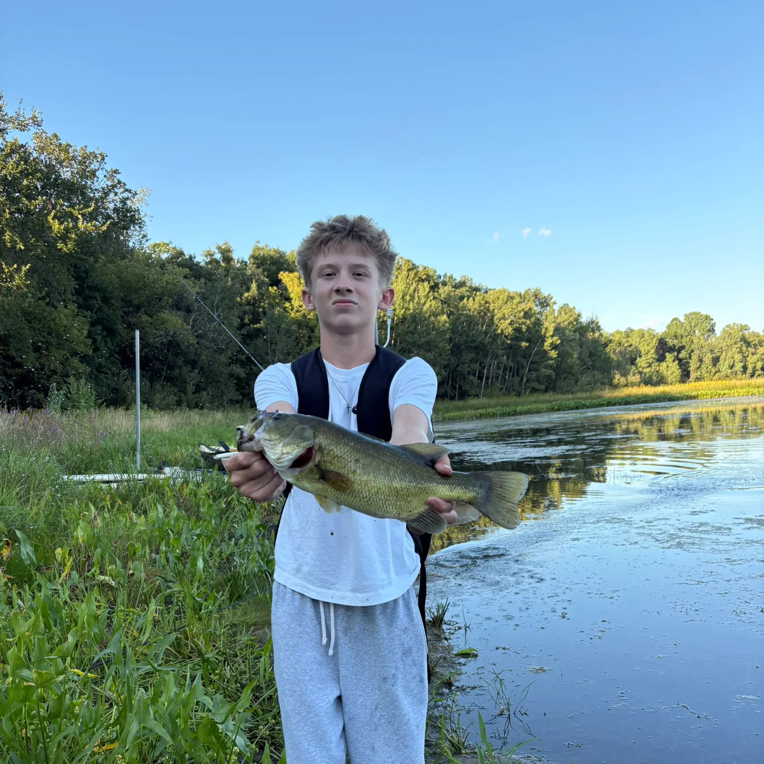 Largemouth bass caught on Fishbrain