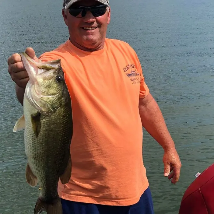 angler catch