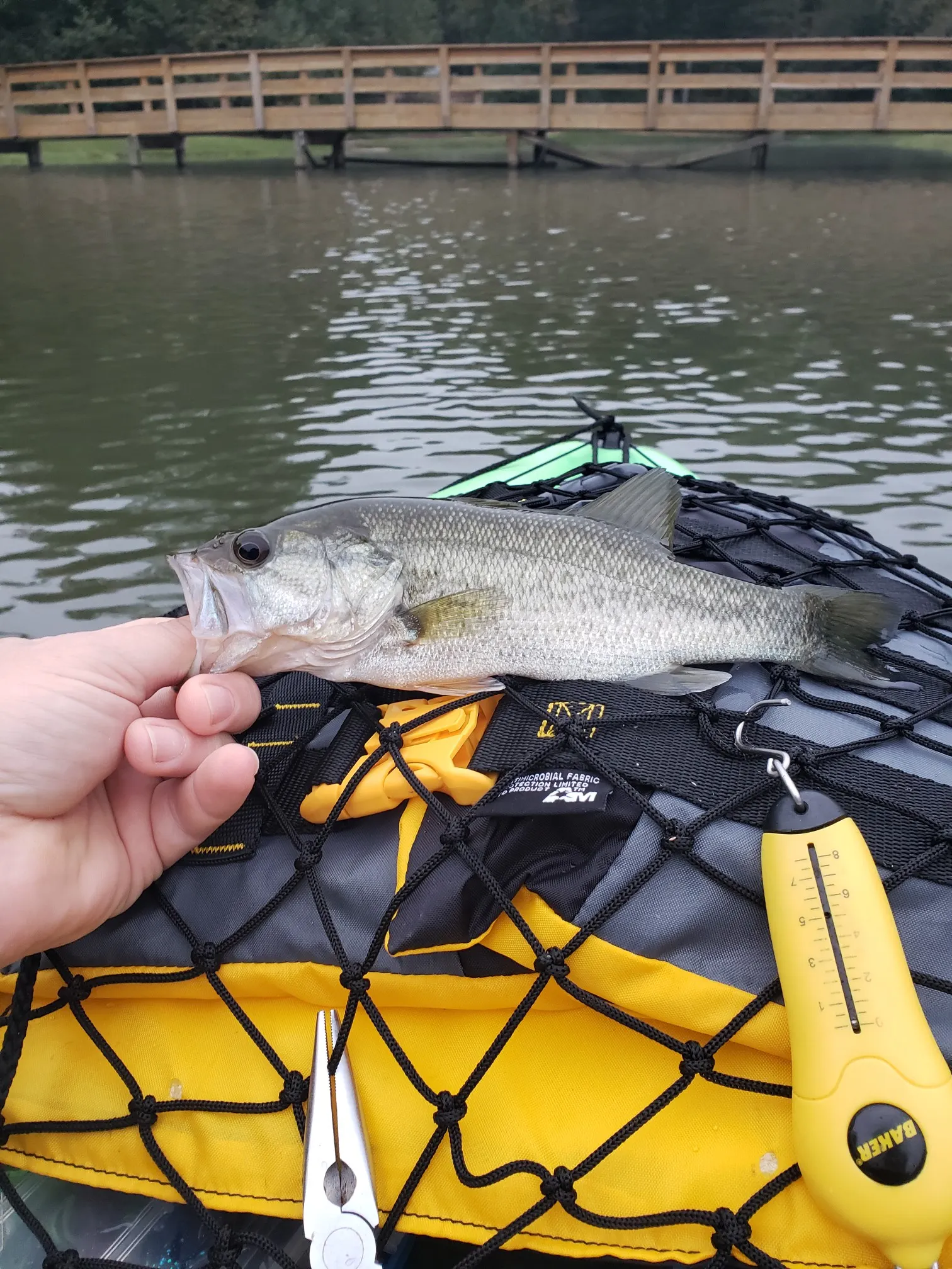 Post image from jramey9966