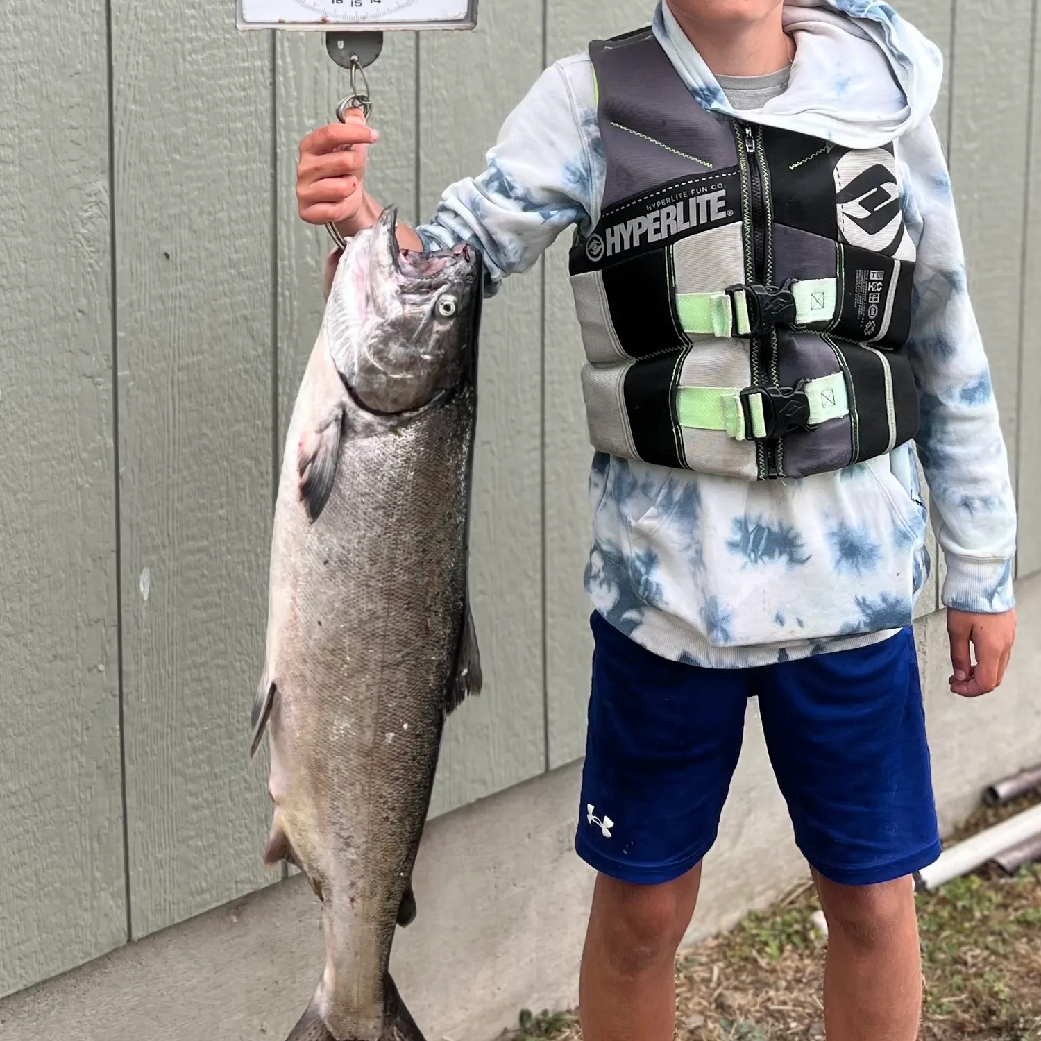 Chinook salmon caught on Fishbrain