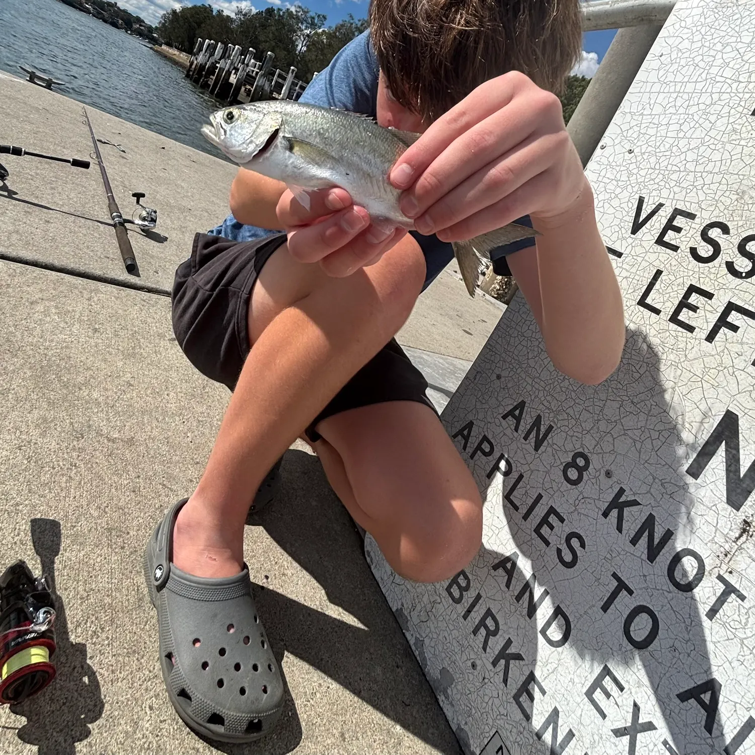 Bluefish caught on Fishbrain