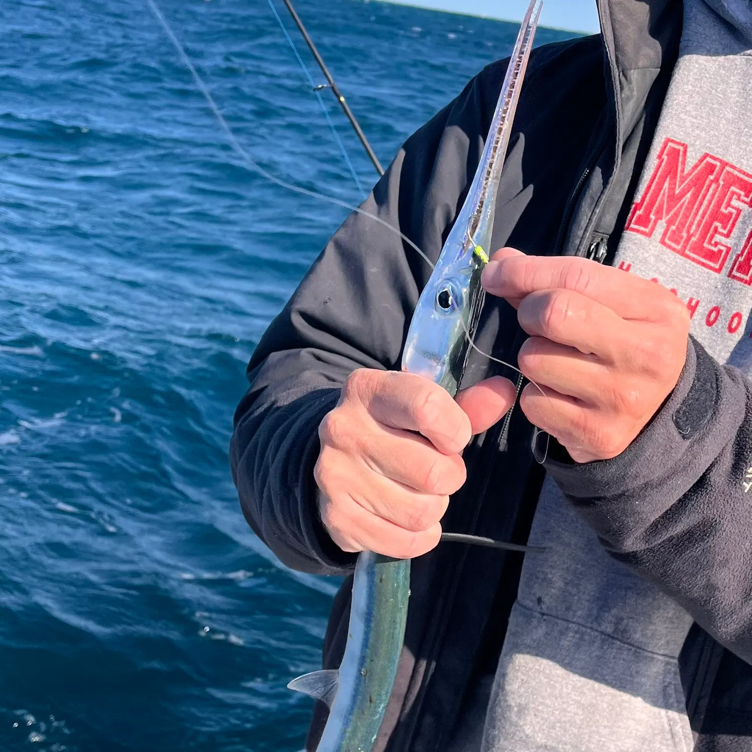 The most recent Hound needlefish catches on Fishbrain
