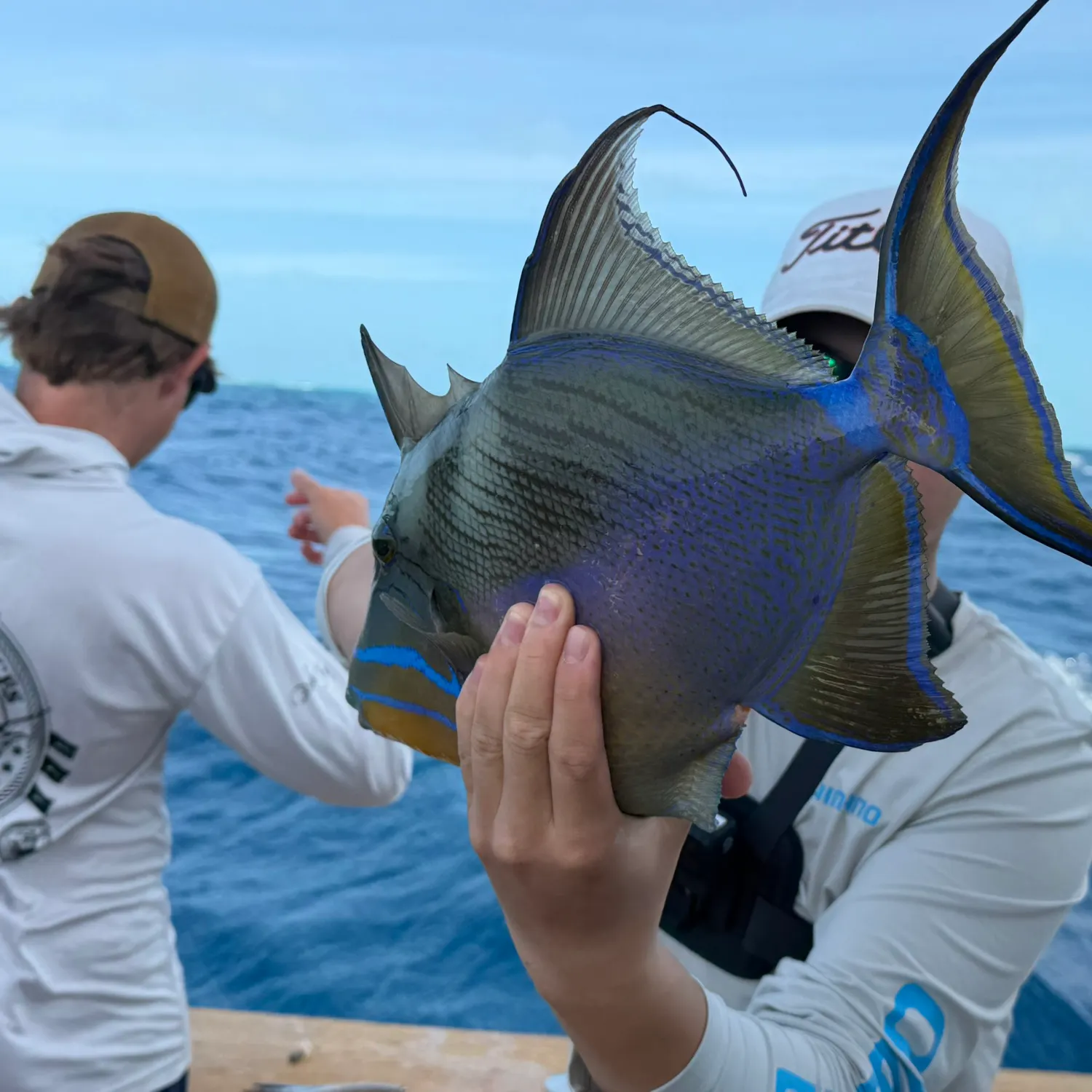 The most recent Queen triggerfish catches on Fishbrain