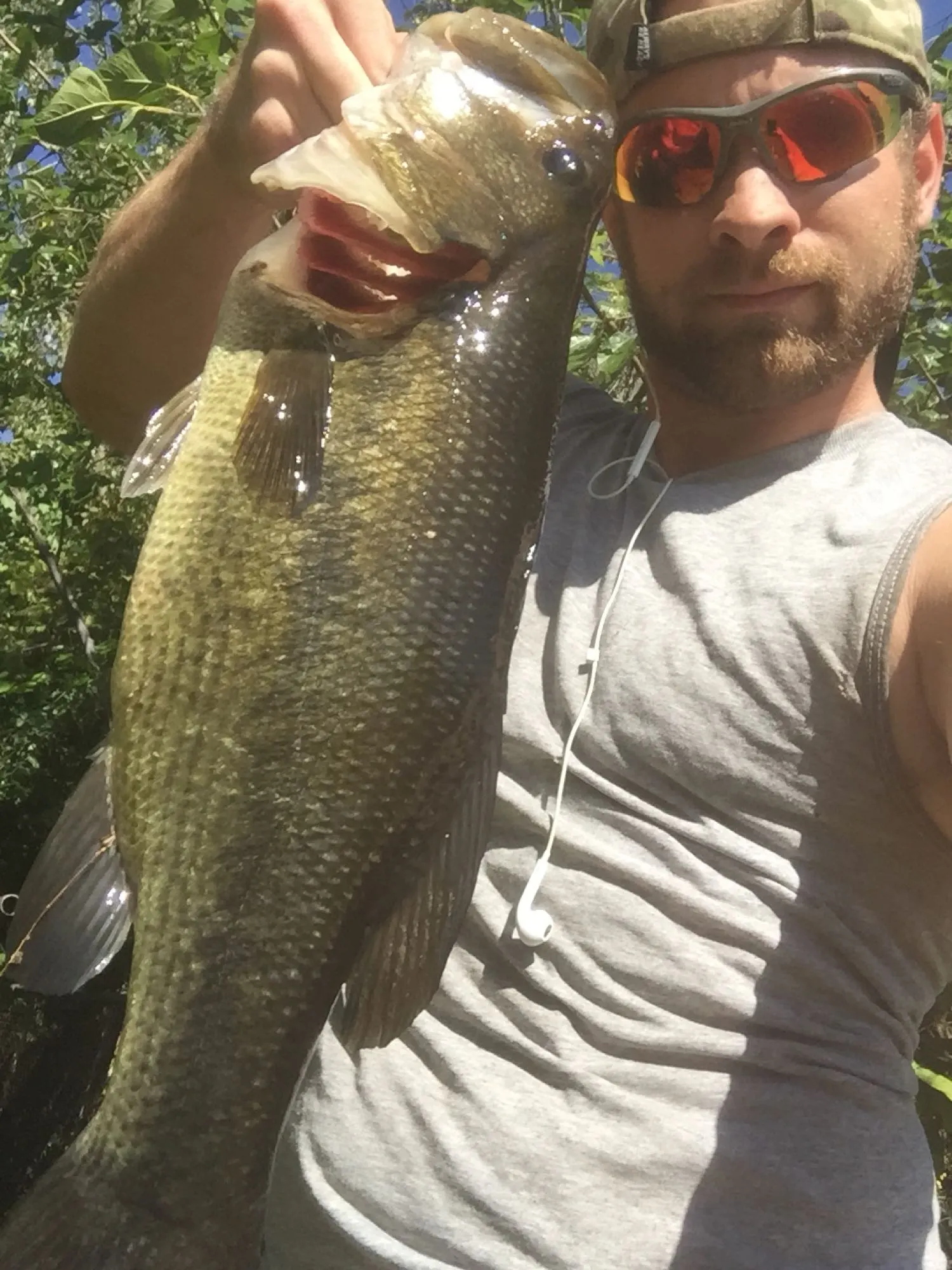 Post image from aschultz5581