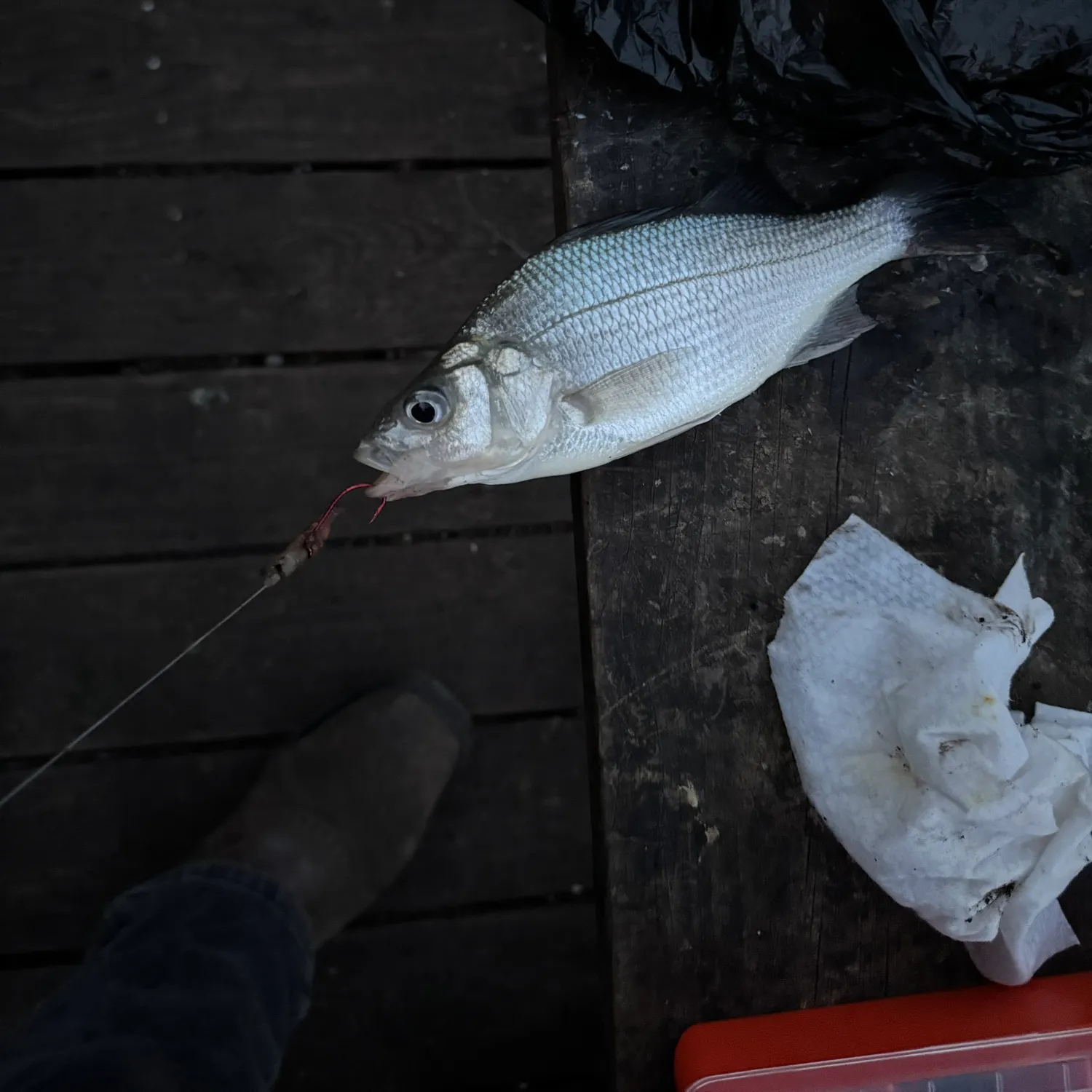 catch