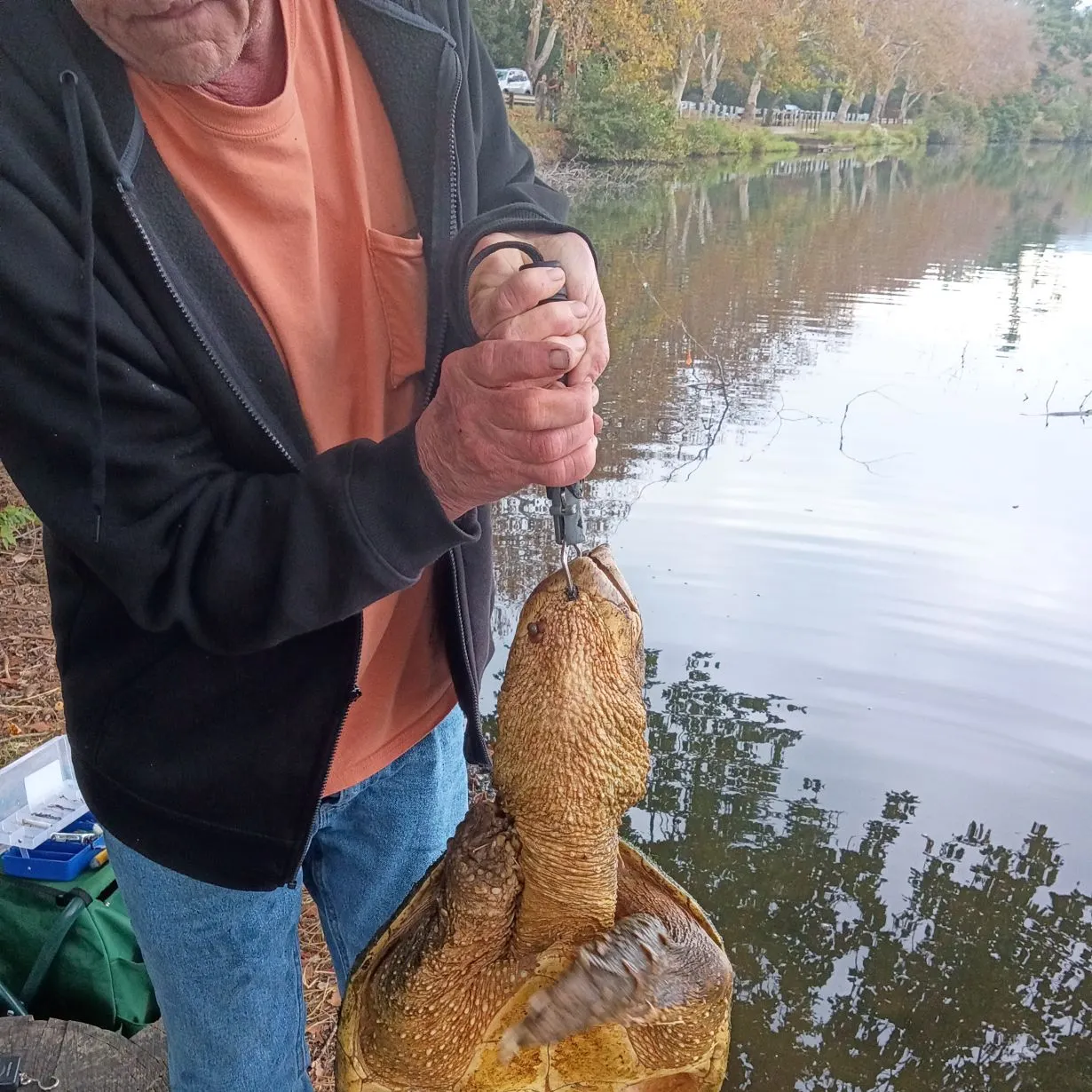 Common snapping turtle caught on Fishbrain