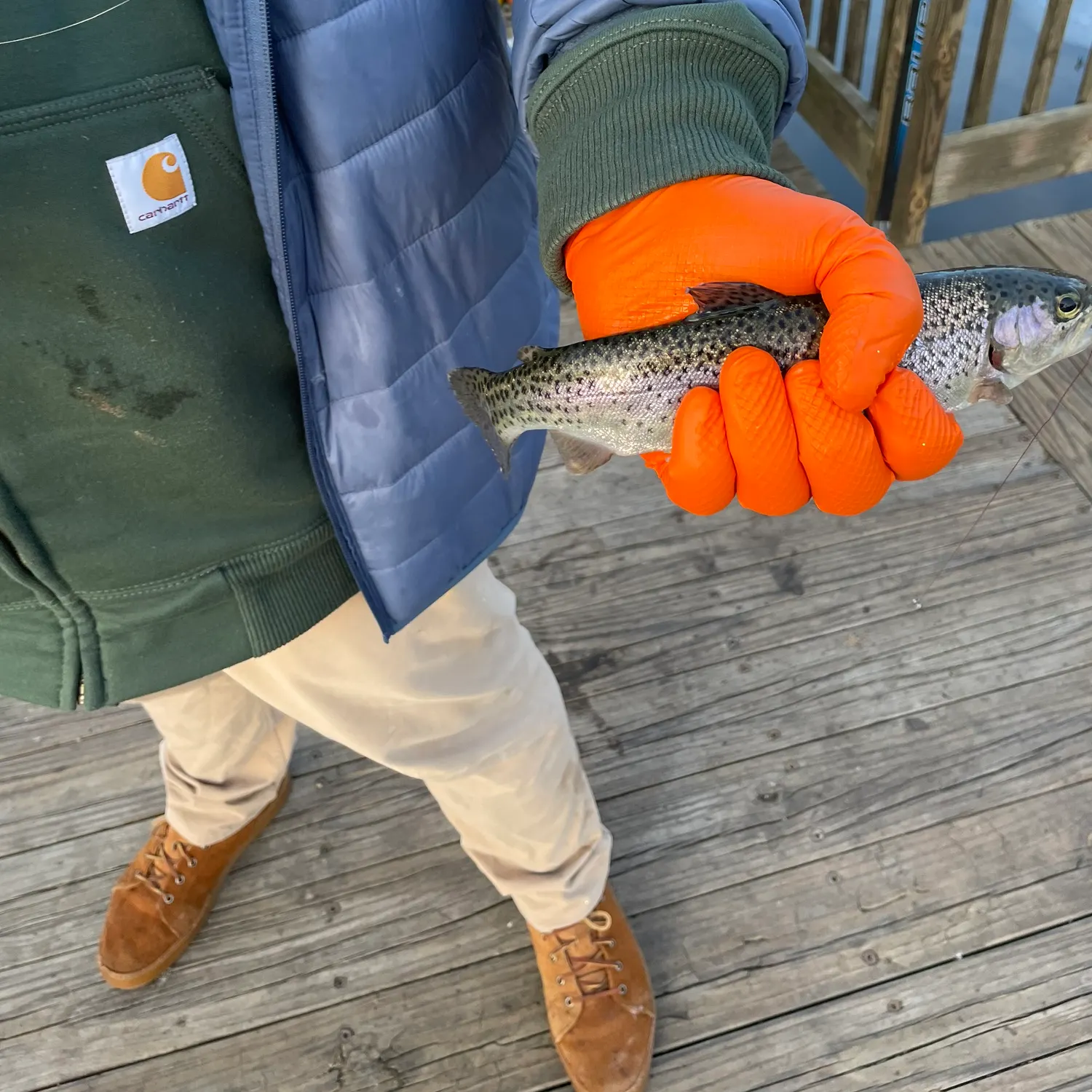 recently logged catches