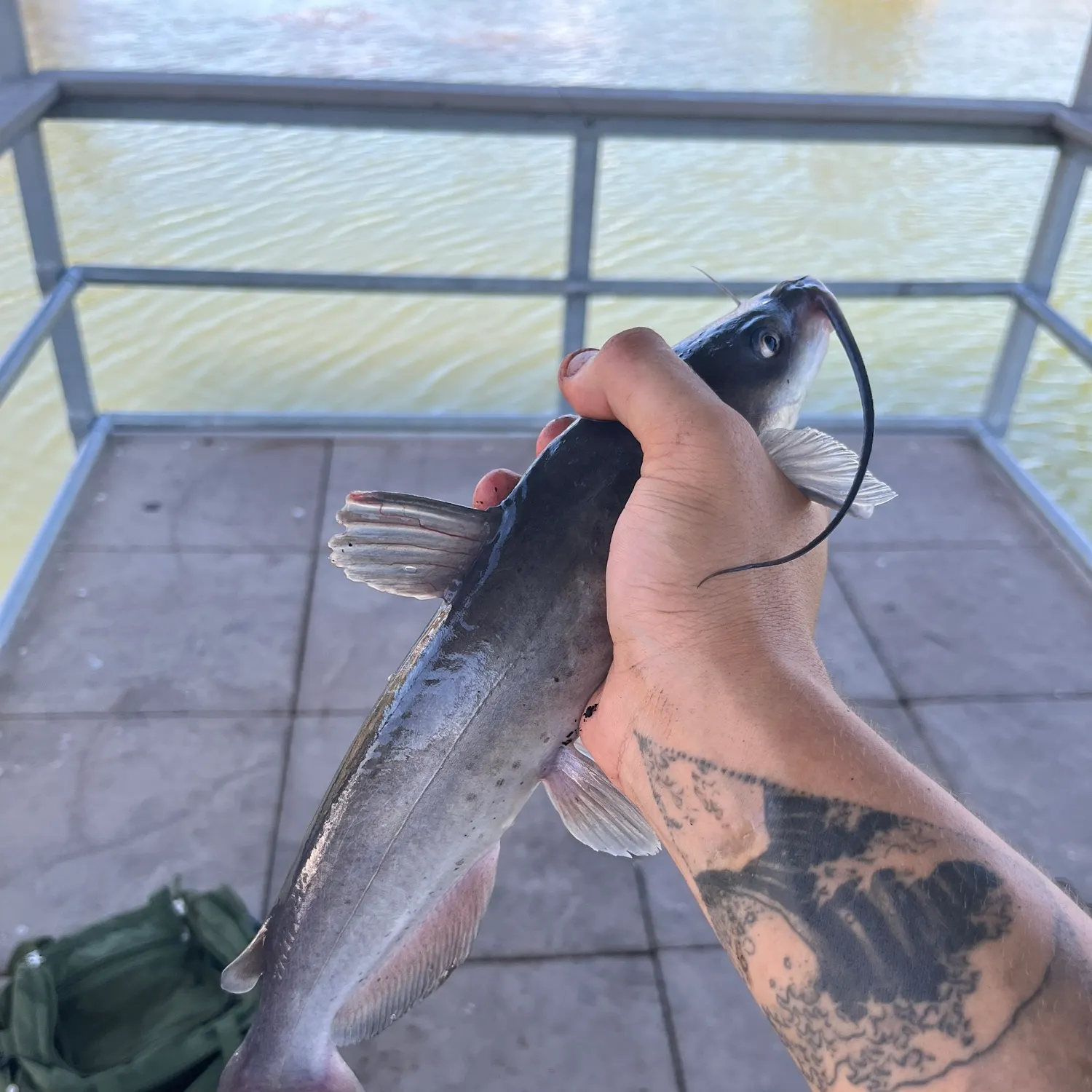 catch