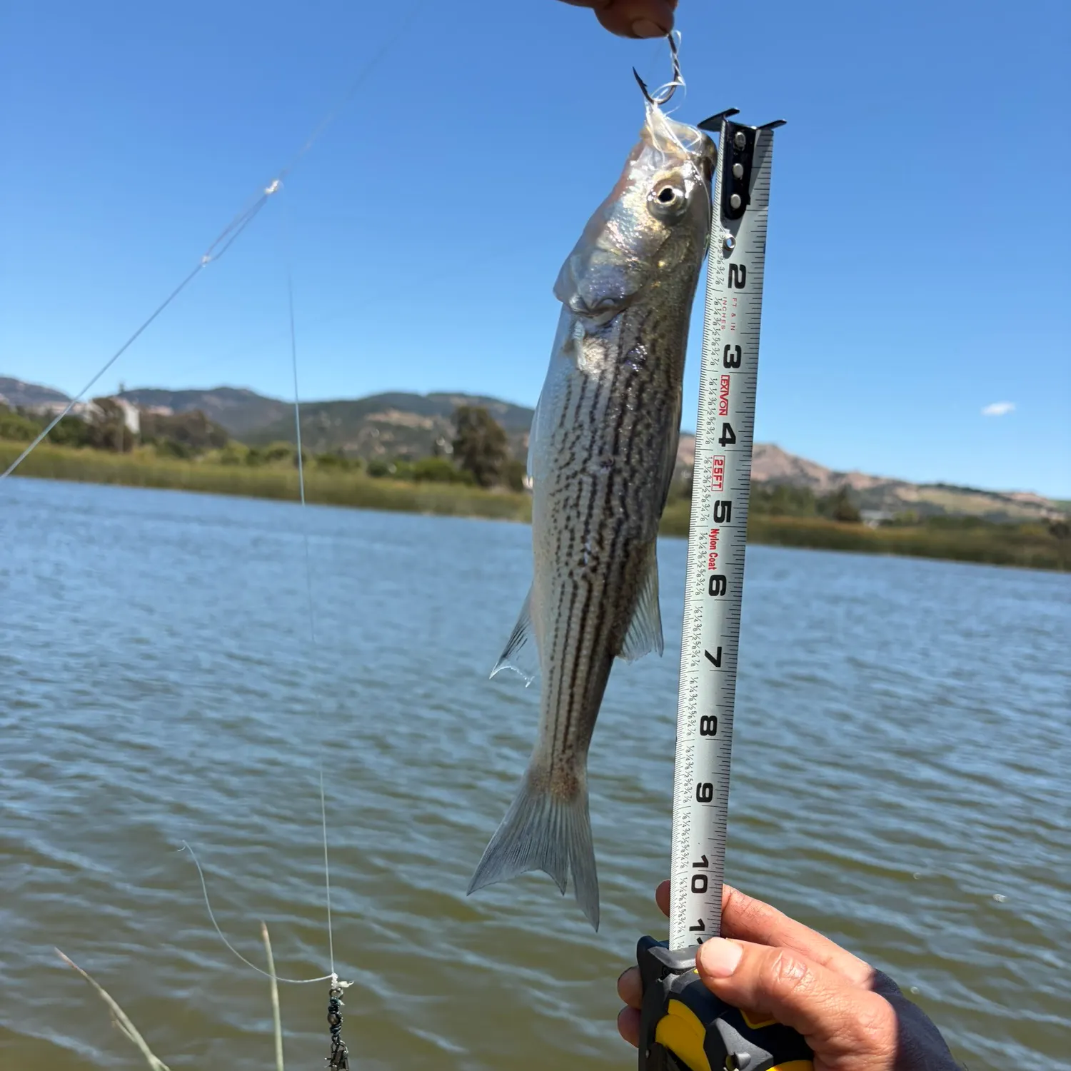 best fishing lures for fishing in ontario canada The Recipe for Catching Ontario Walleye
