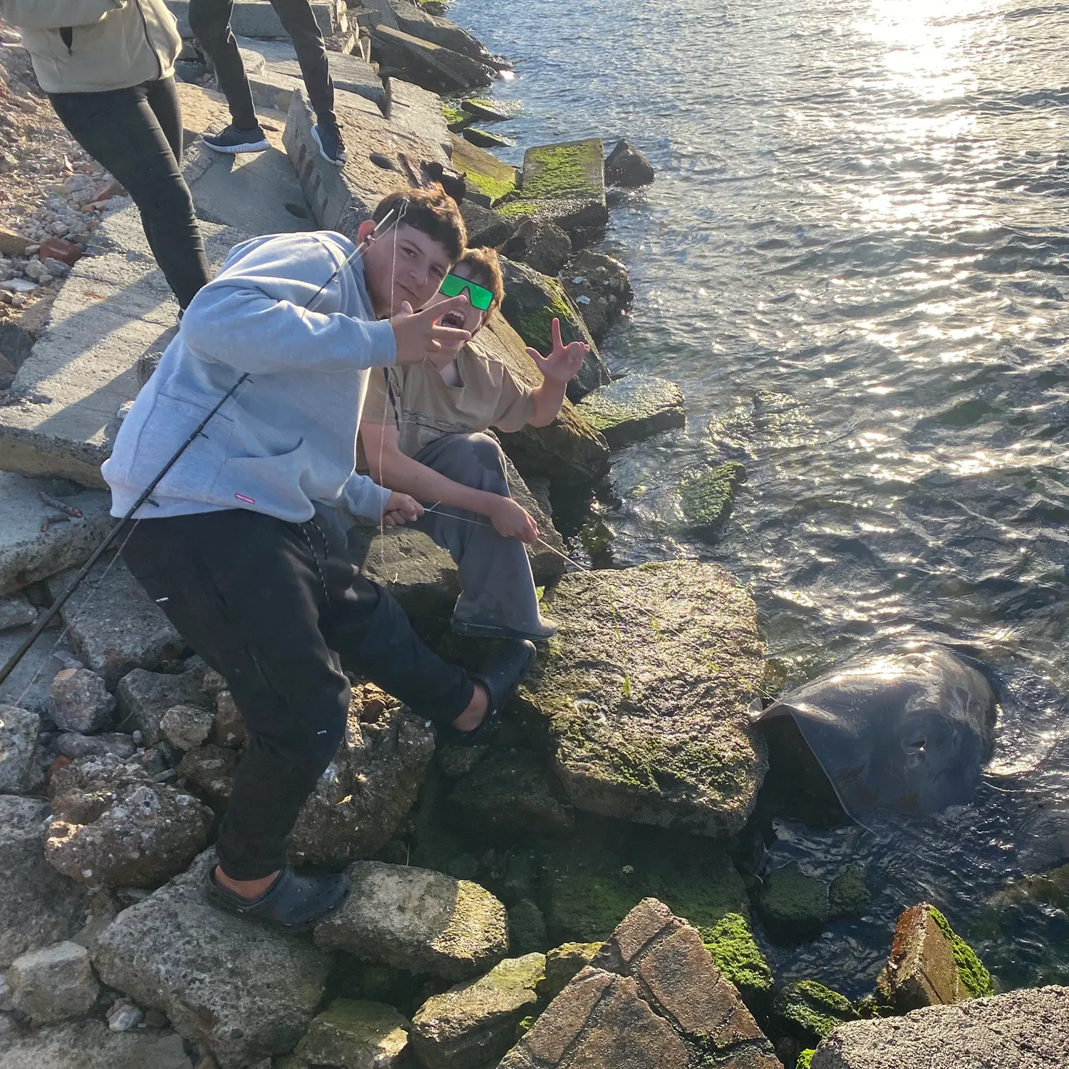 The most recent Short-tail stingray catches on Fishbrain