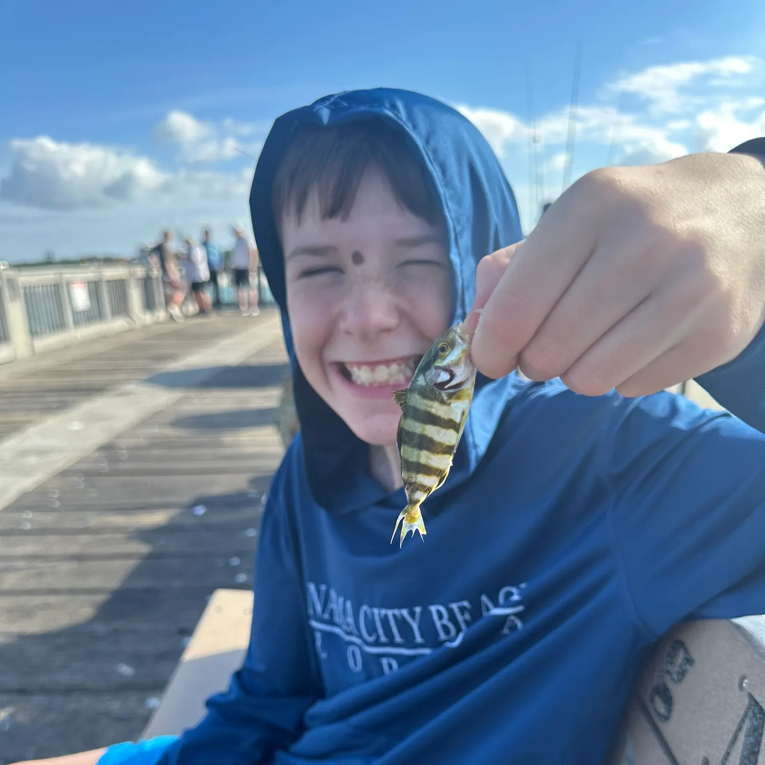 The most recent Banded Rudderfish catches on Fishbrain