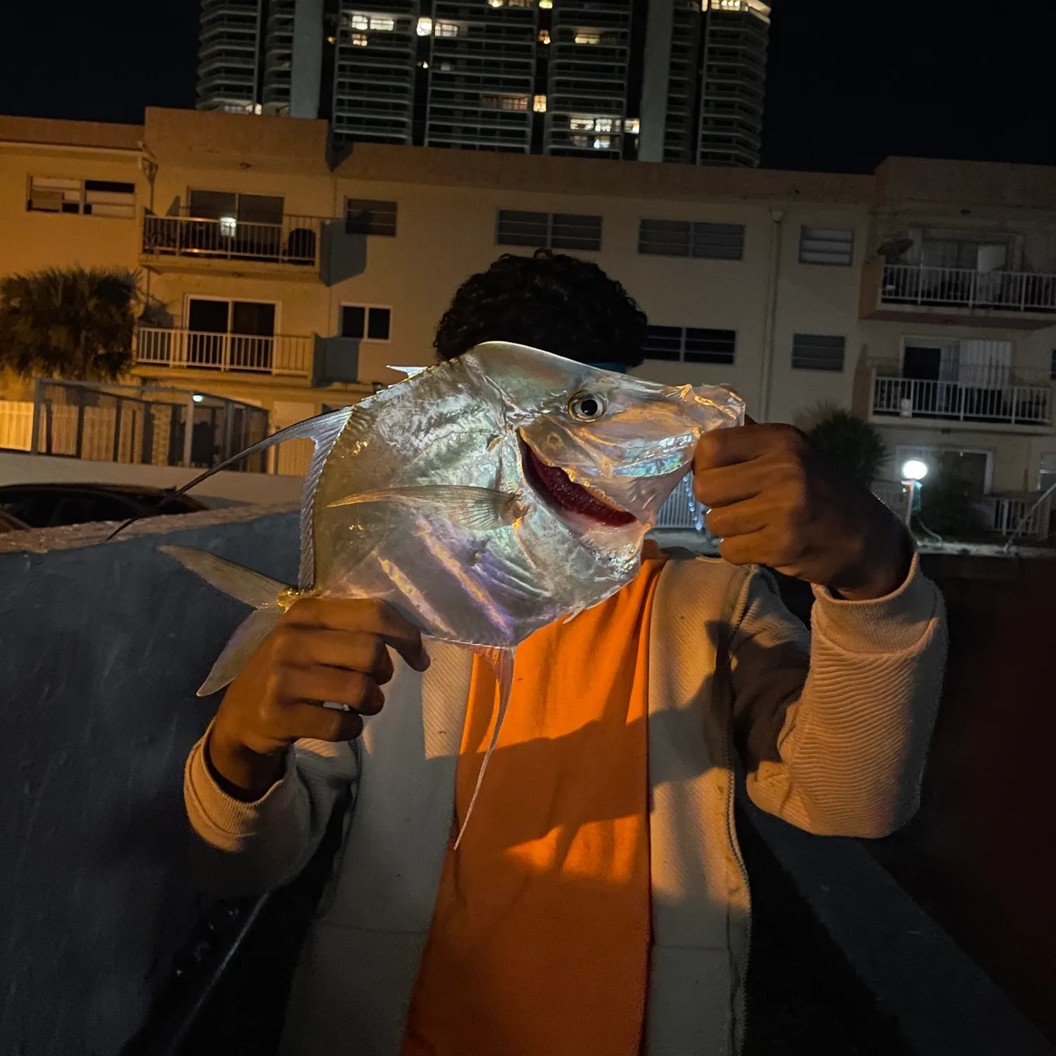 The most recent Lookdown catches on Fishbrain