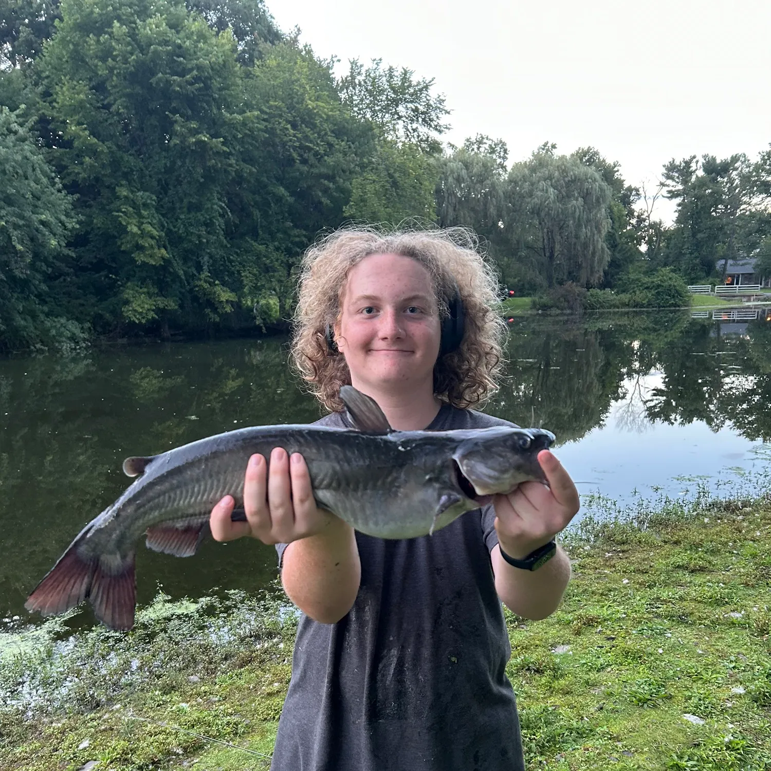 Channel catfish caught on Fishbrain