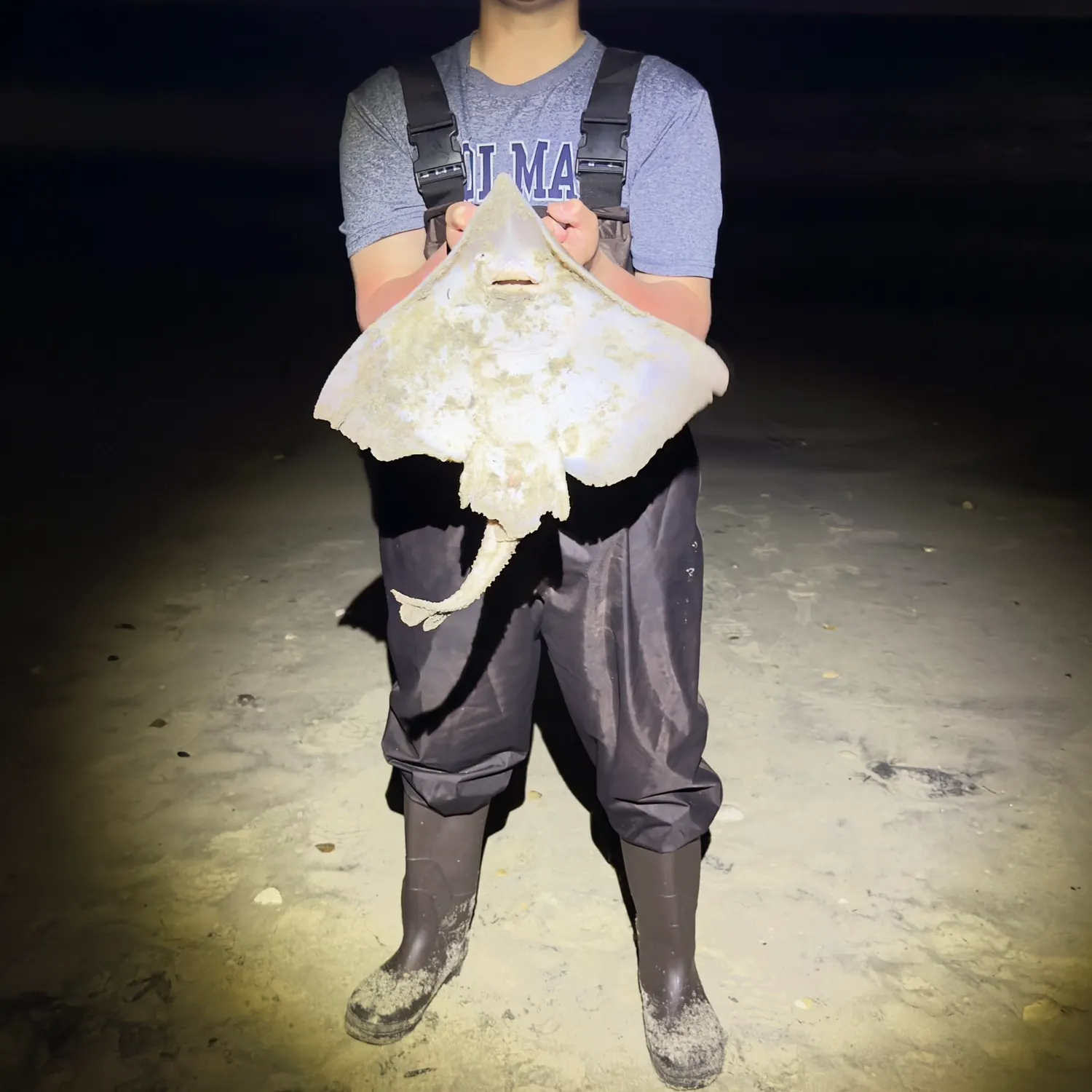 The most recent Clearnose skate catches on Fishbrain