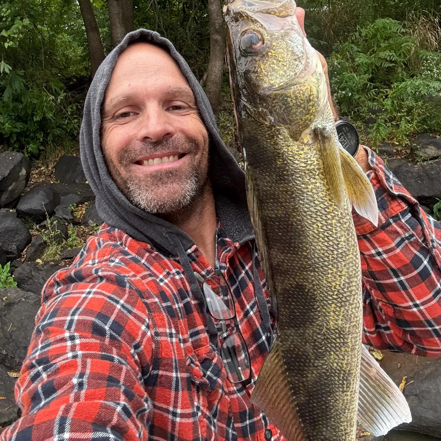 Walleye caught on Fishbrain
