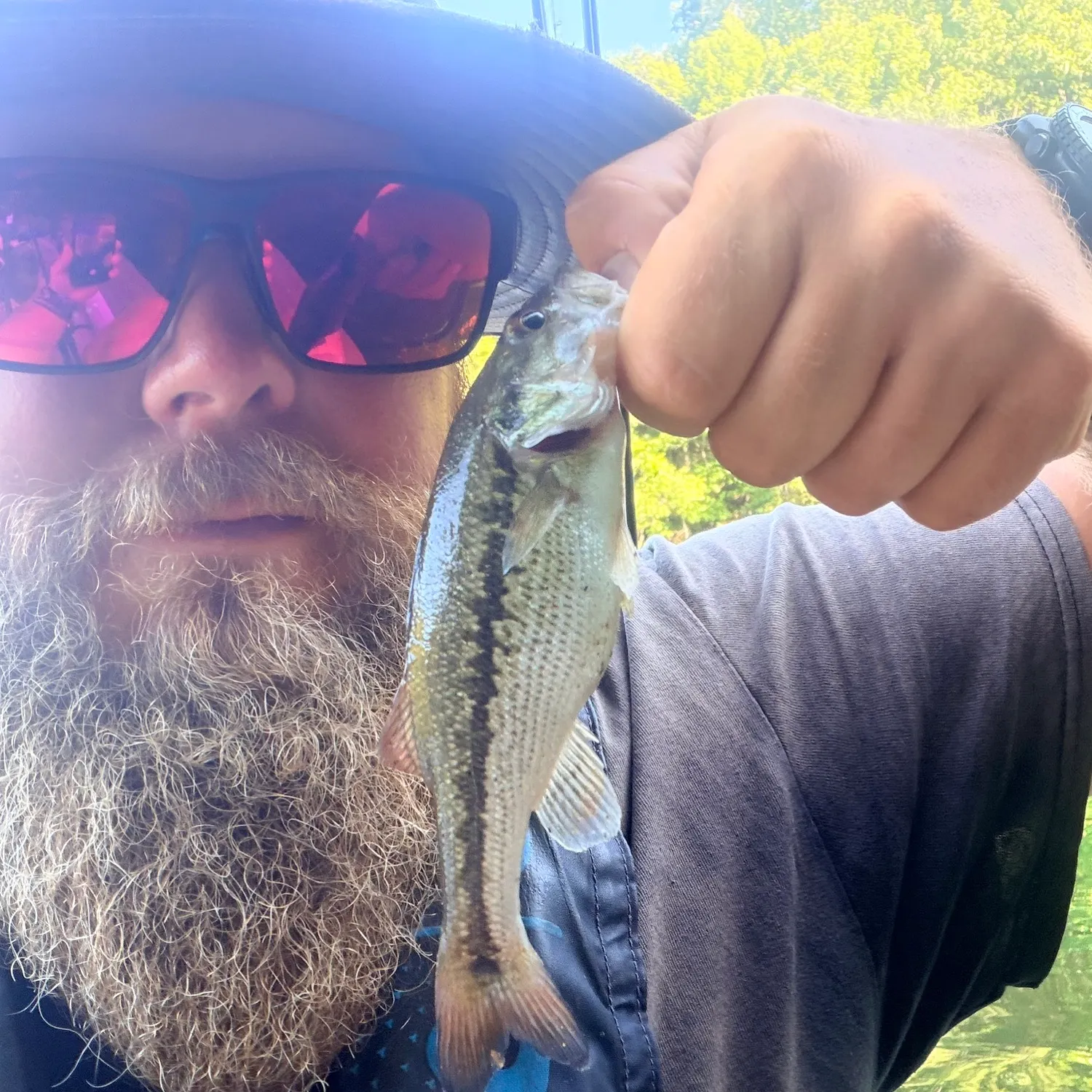 Spotted bass caught on Fishbrain