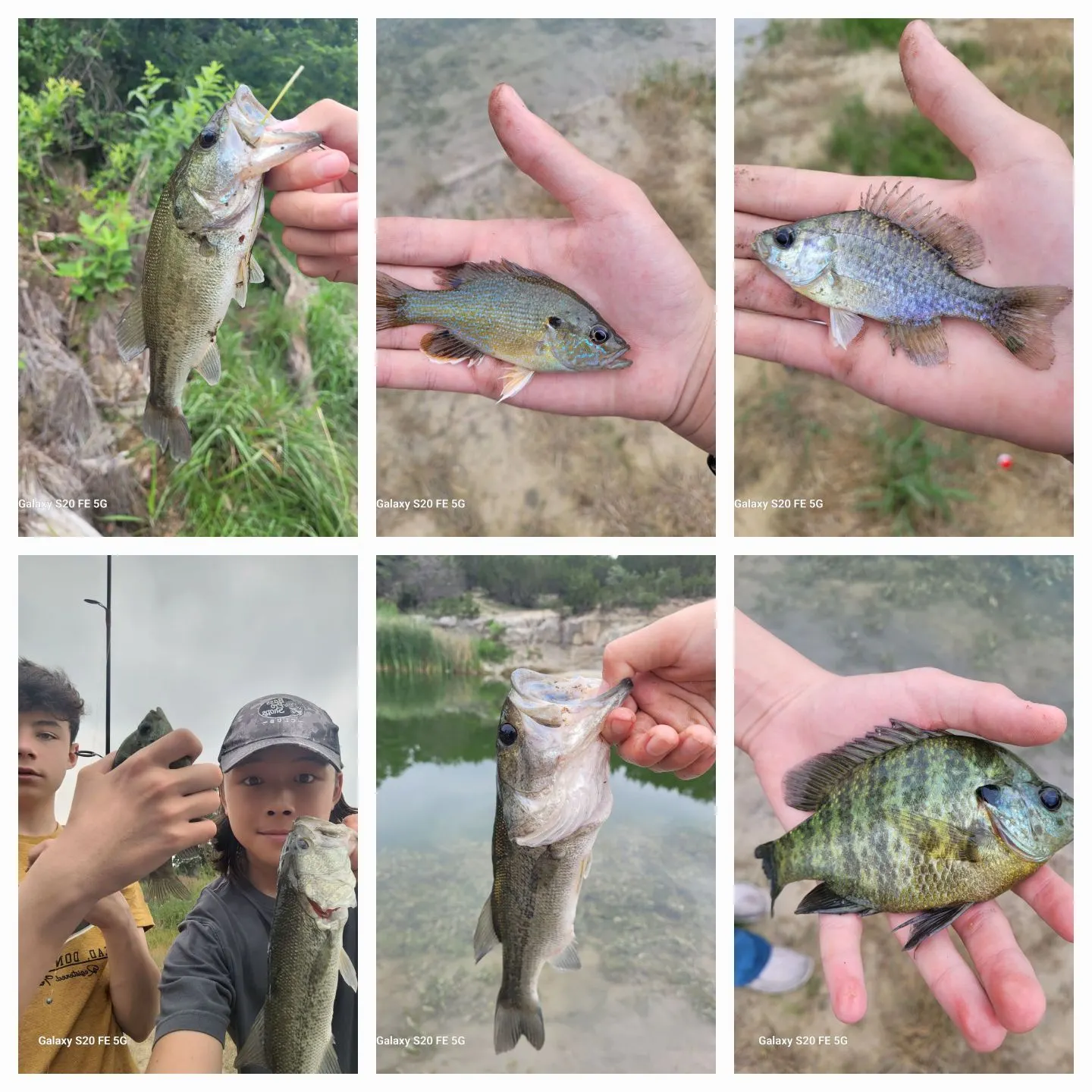 recently logged catches