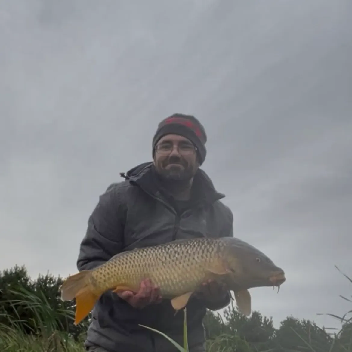 Common carp caught on Fishbrain