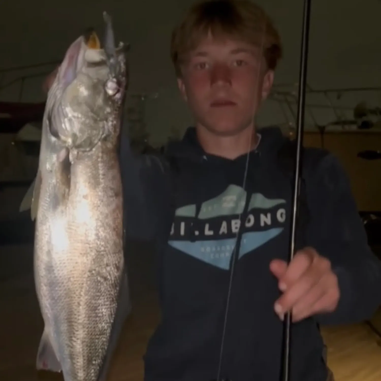 The most recent Stolzmann's weakfish catches on Fishbrain