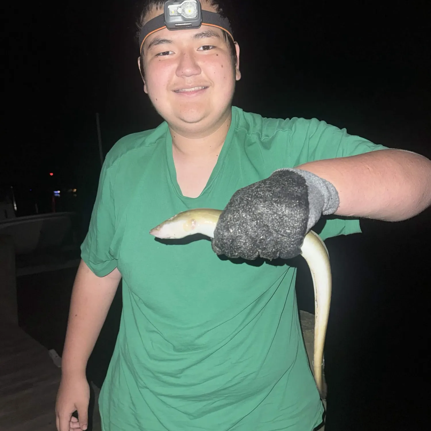 American eel caught on Fishbrain