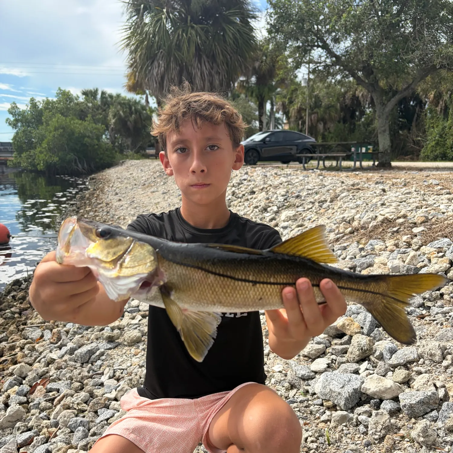 Common snook caught on Fishbrain