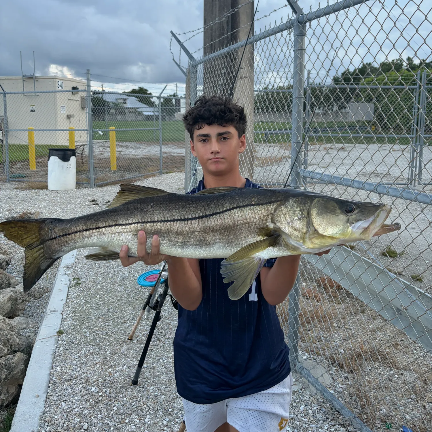 Common snook caught on Fishbrain