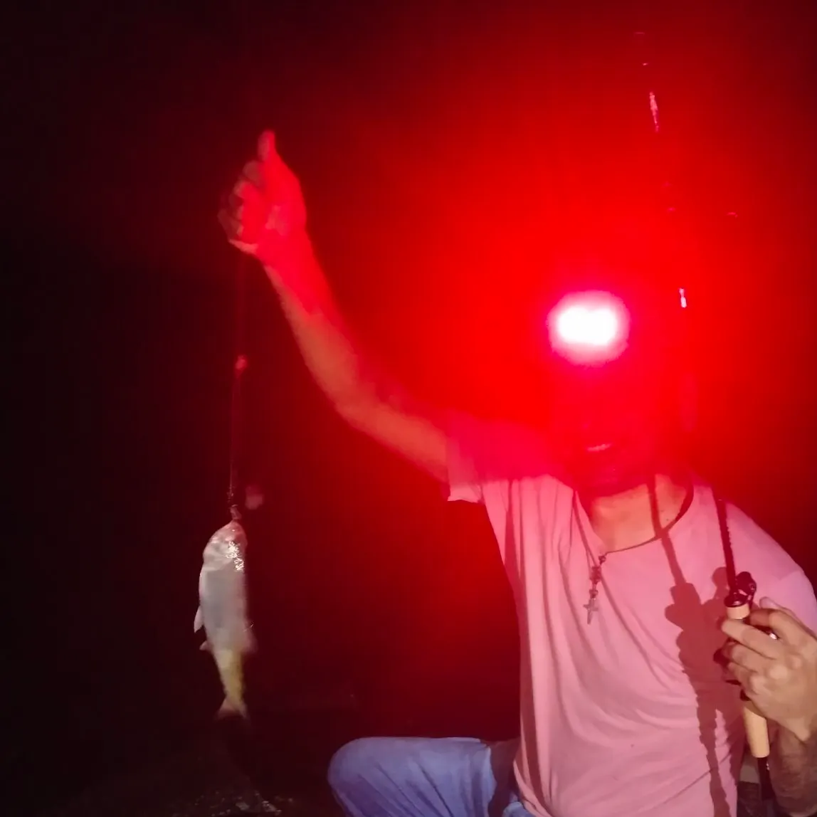 The most recent Dorada catches on Fishbrain