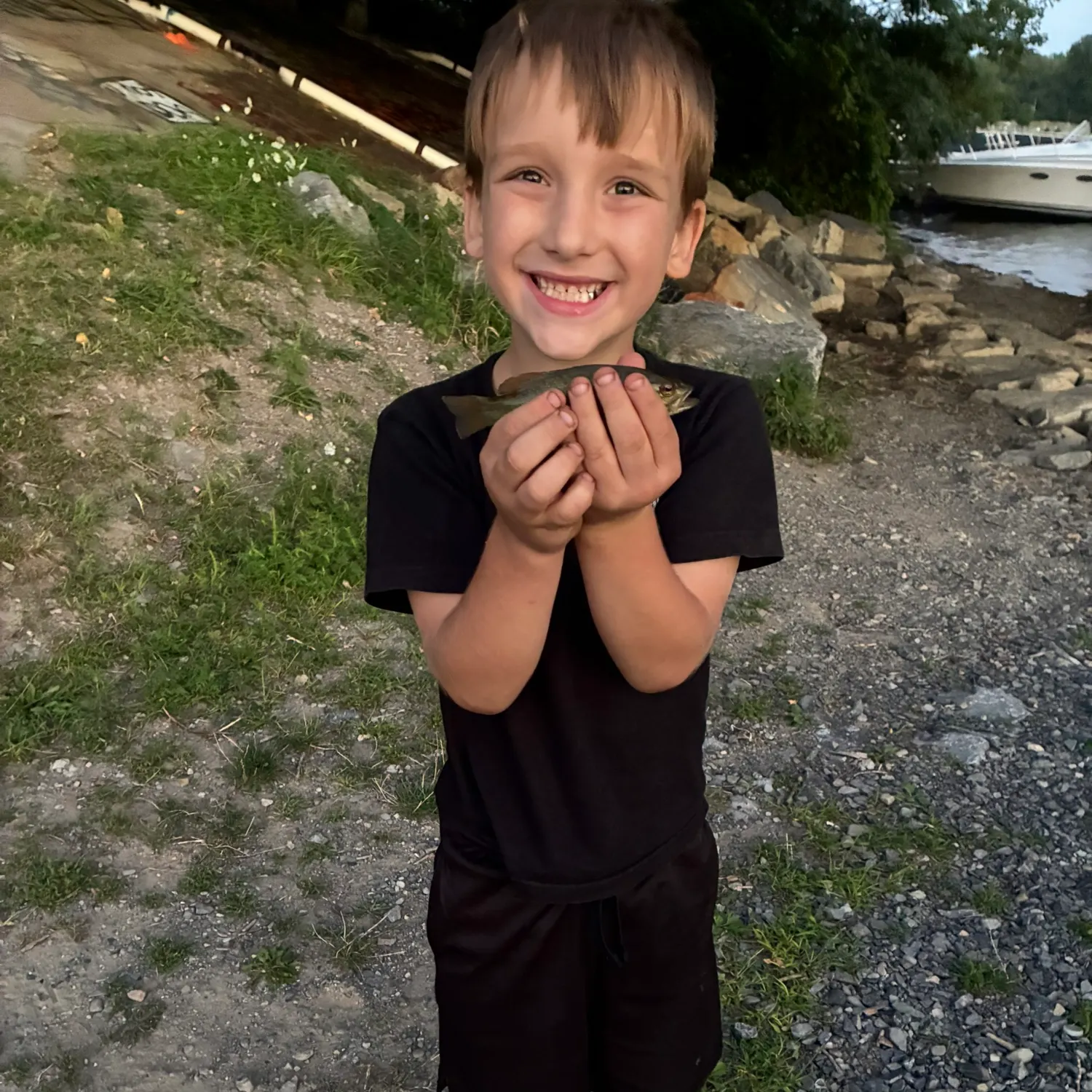 Smallmouth bass caught on Fishbrain