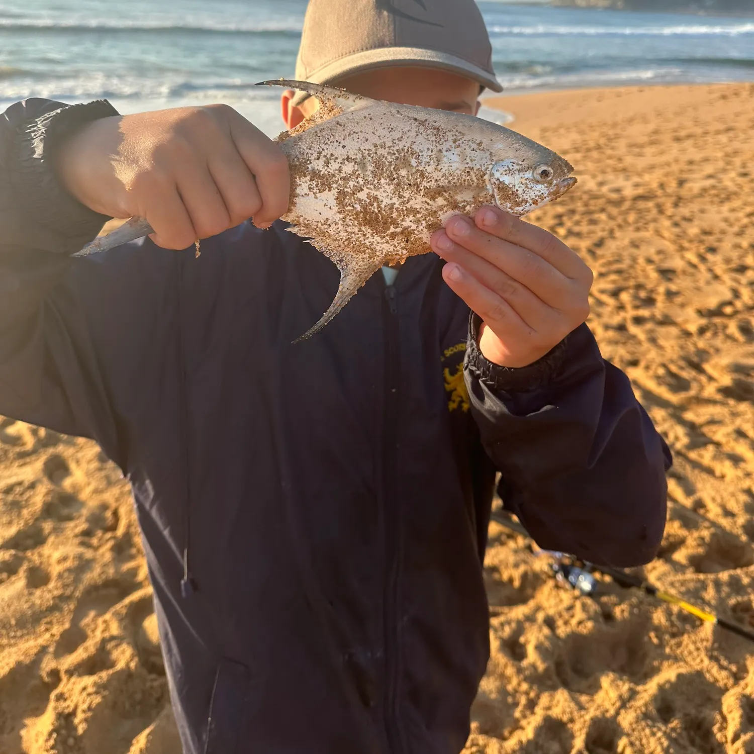 The most recent Swallowtail dart catches on Fishbrain