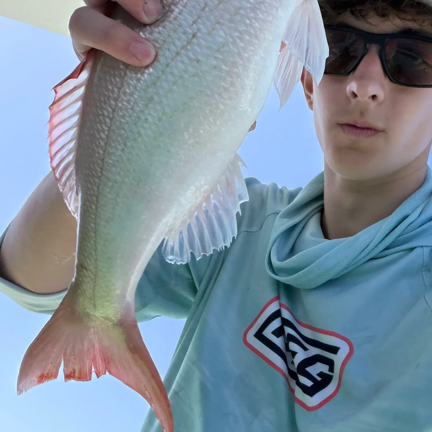 The most recent Vermilion snapper catches on Fishbrain