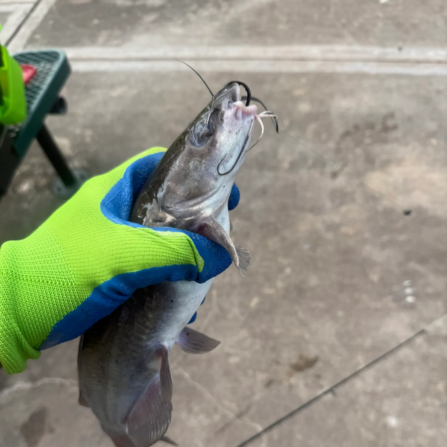 catch