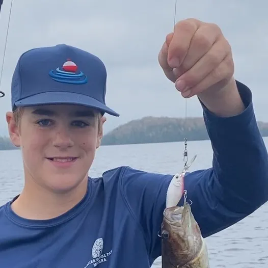 Smallmouth bass caught on Fishbrain