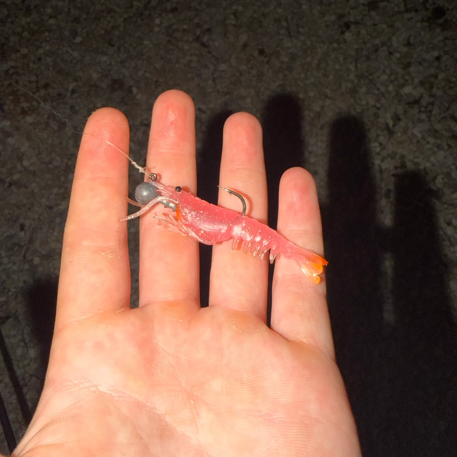 Gray weakfish caught on Fishbrain