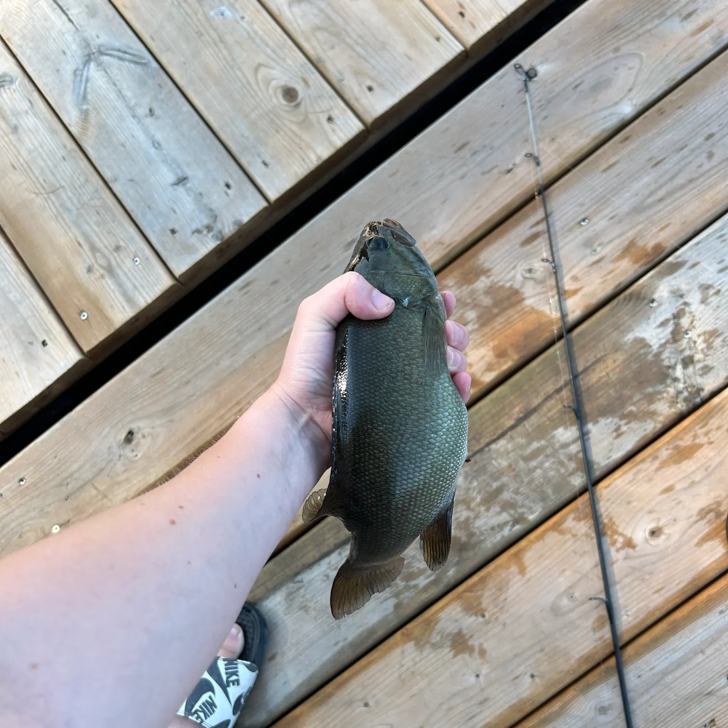 angler catch