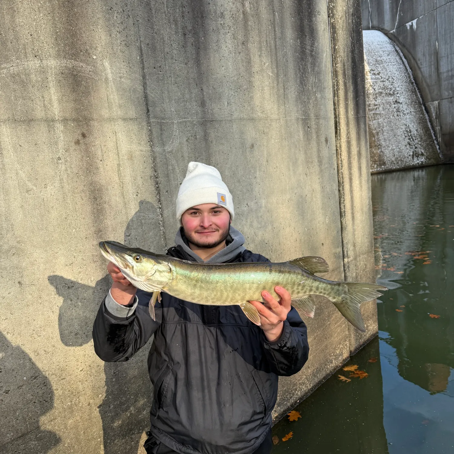 The most recent Muskellunge catches on Fishbrain