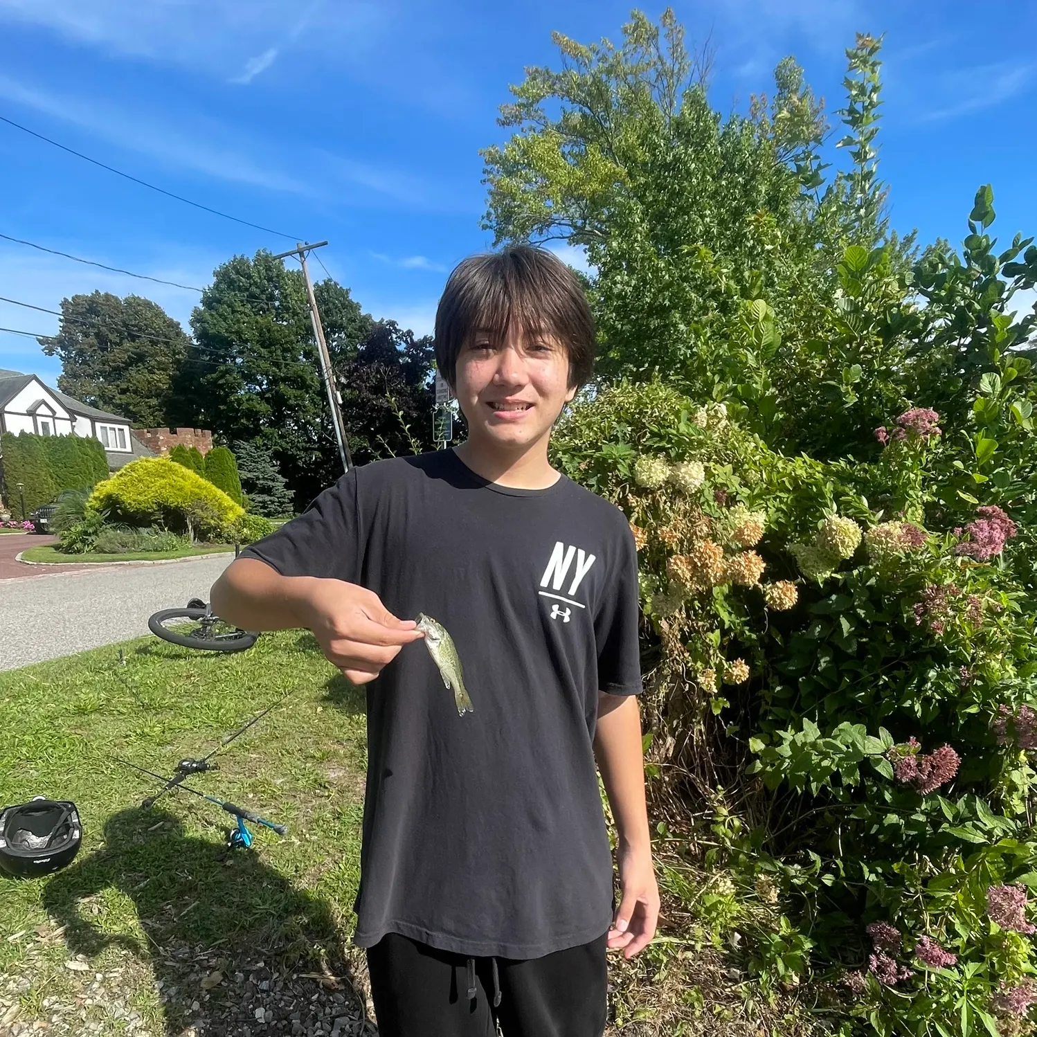 Striped bass caught on Fishbrain