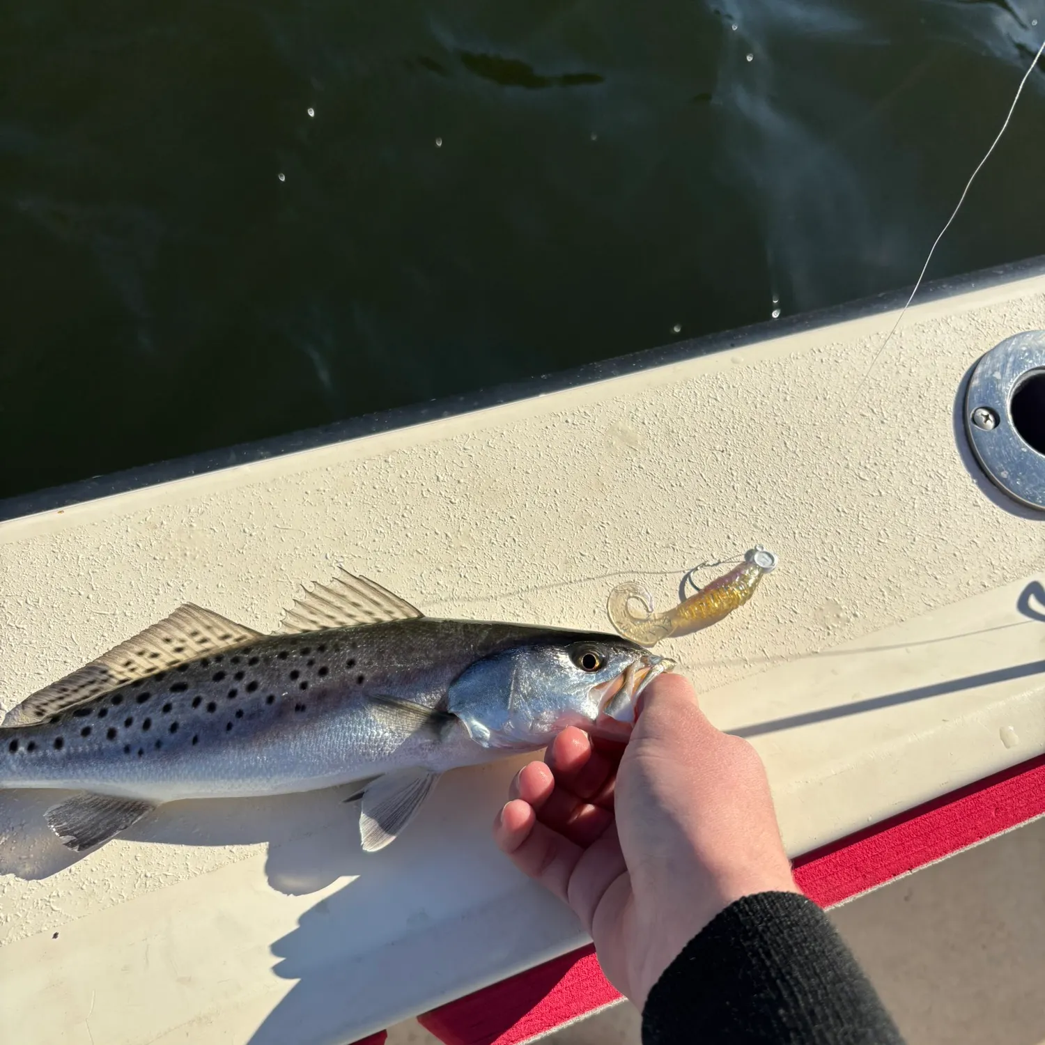 The most recent Spotted seatrout catches on Fishbrain
