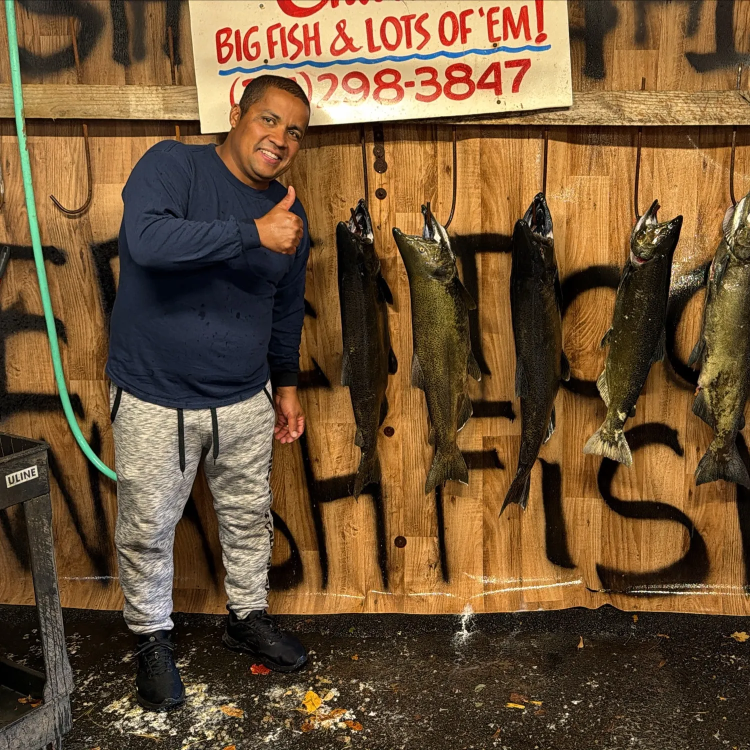The most recent Chinook salmon catches on Fishbrain