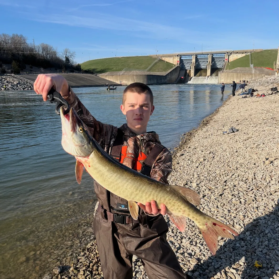 The most recent Muskellunge catches on Fishbrain