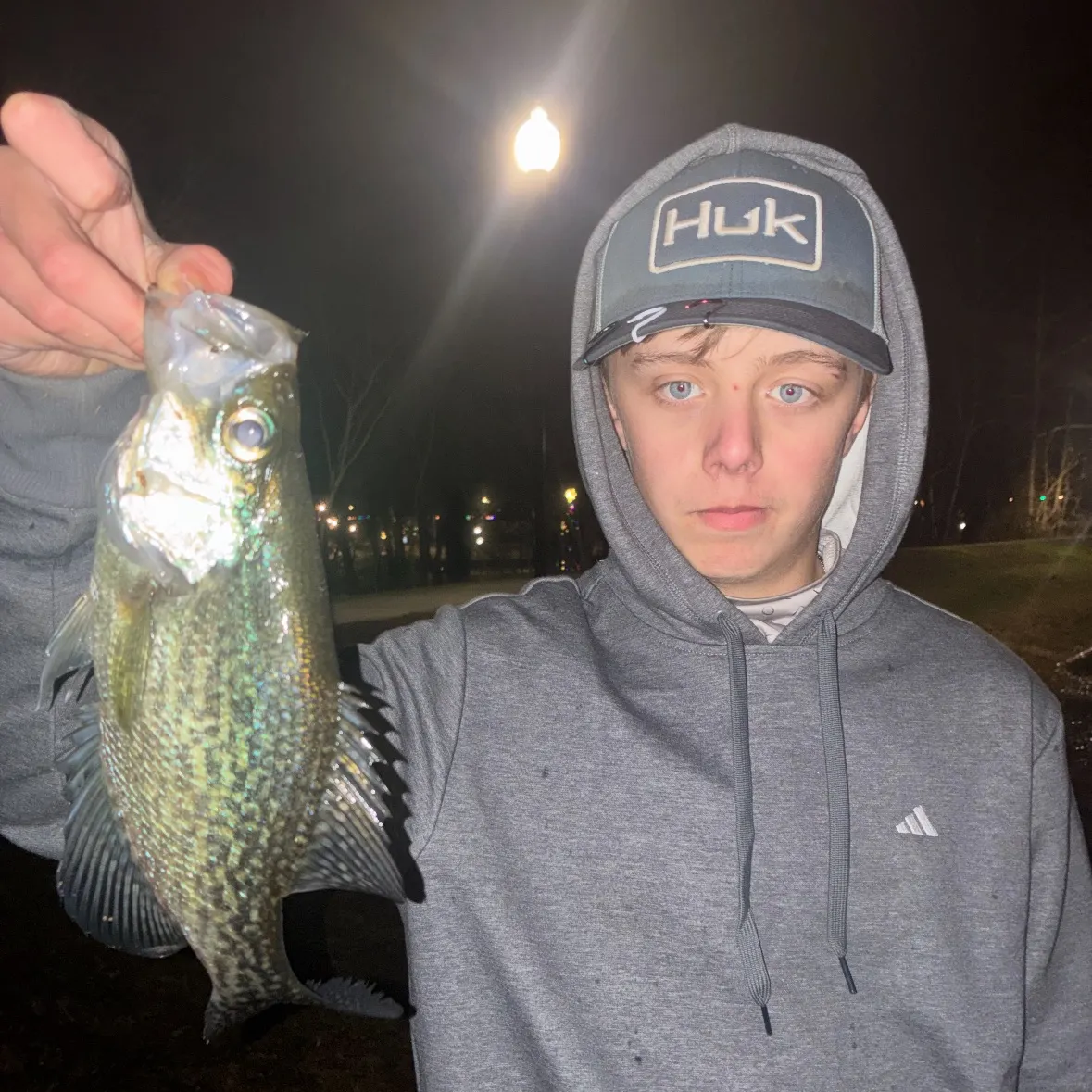 The most recent Black crappie catches on Fishbrain