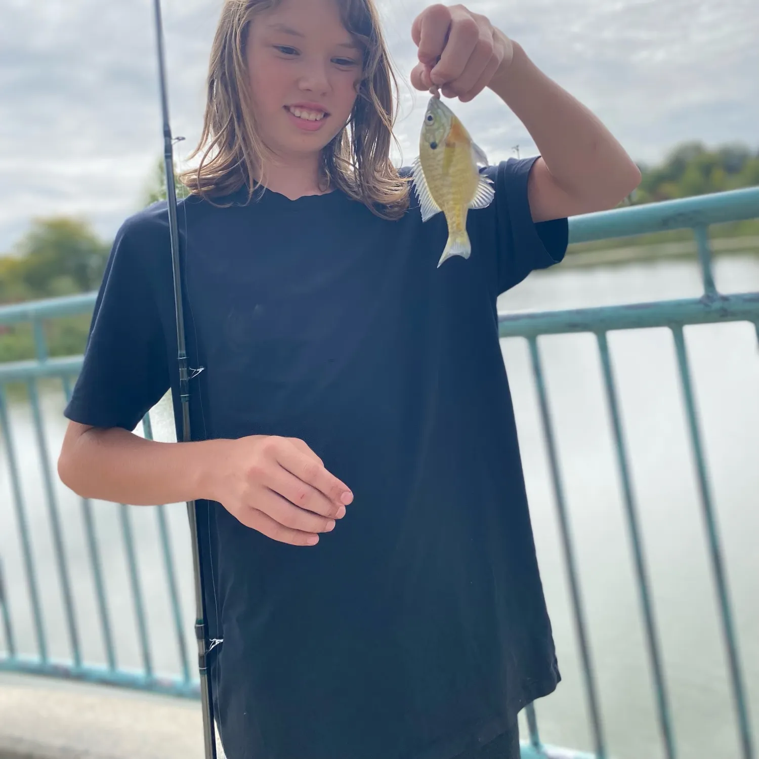 Bluegill caught on Fishbrain