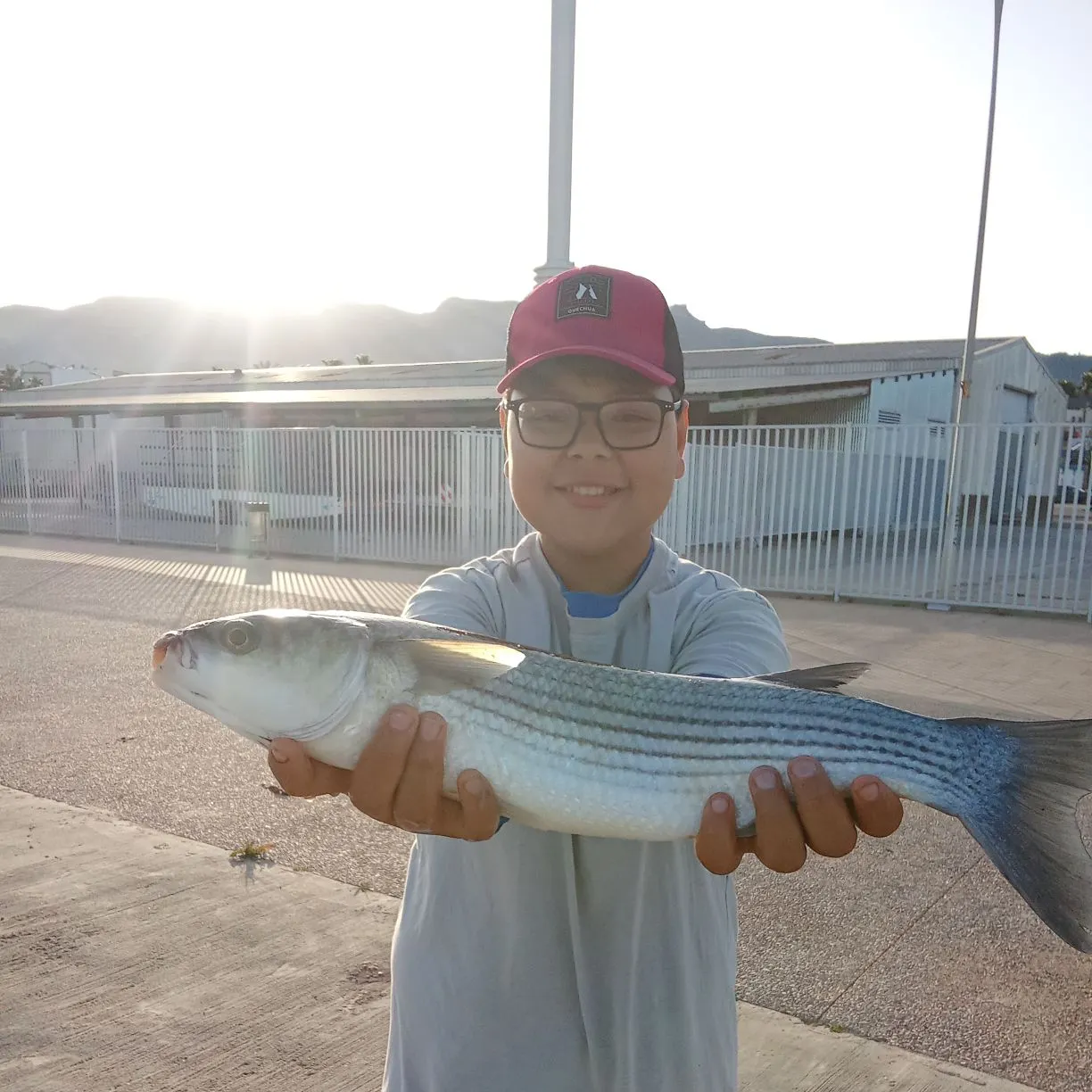 The most popular recent Largescale mullet catch on Fishbrain