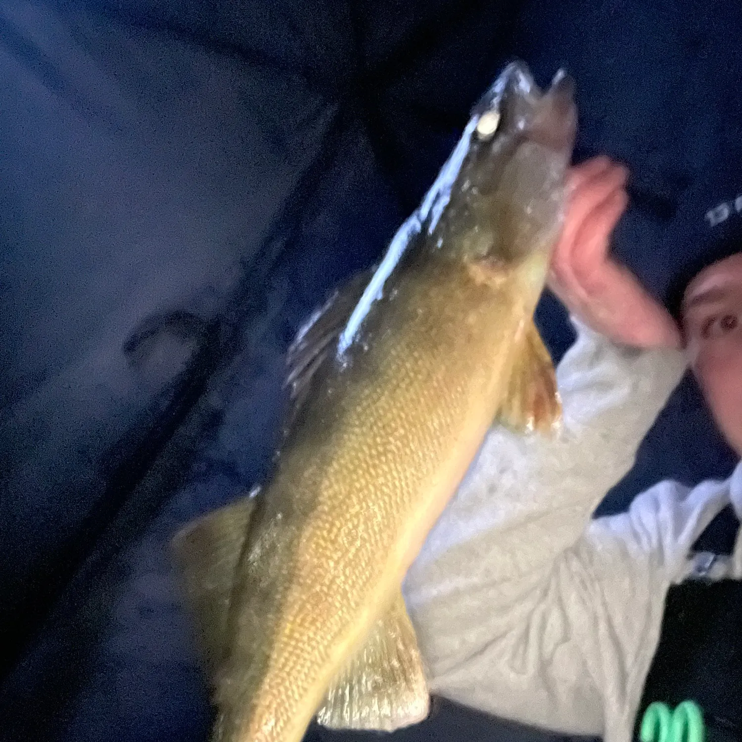 The most recent Walleye catches on Fishbrain
