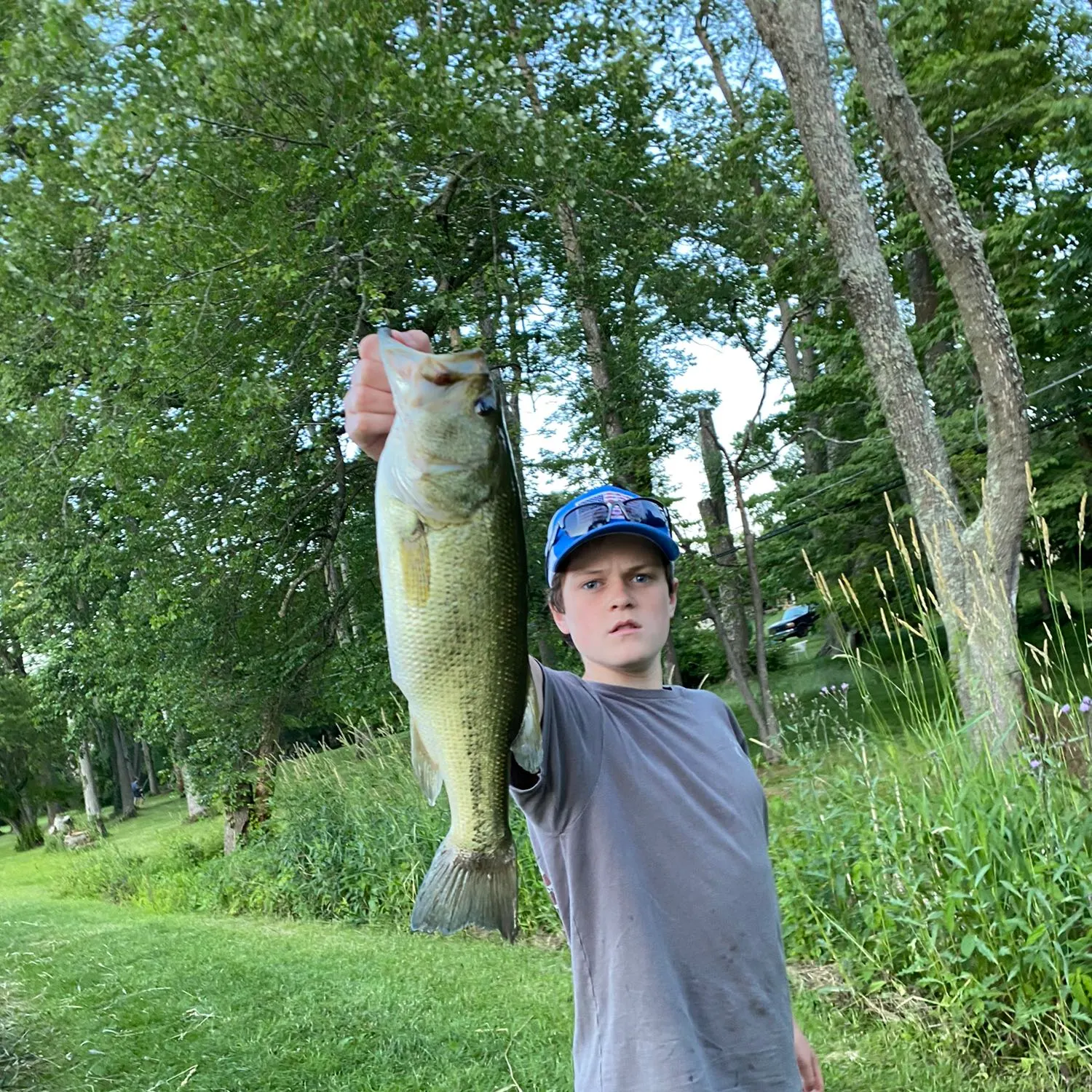 Largemouth bass caught on Fishbrain