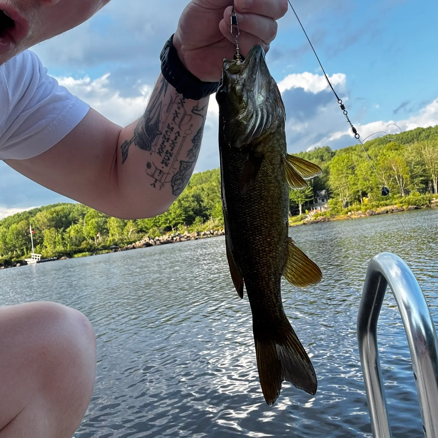 recently logged catches