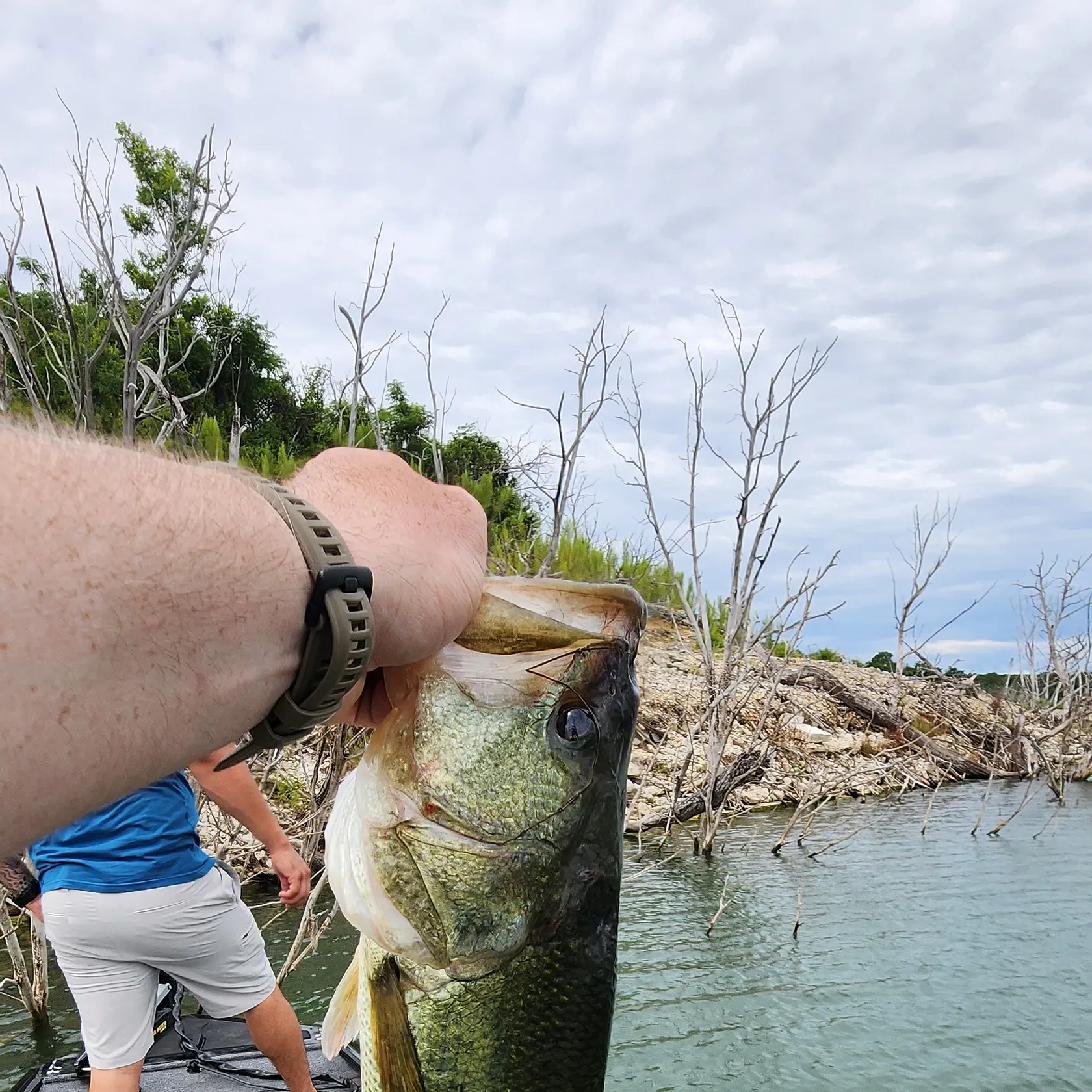angler catch