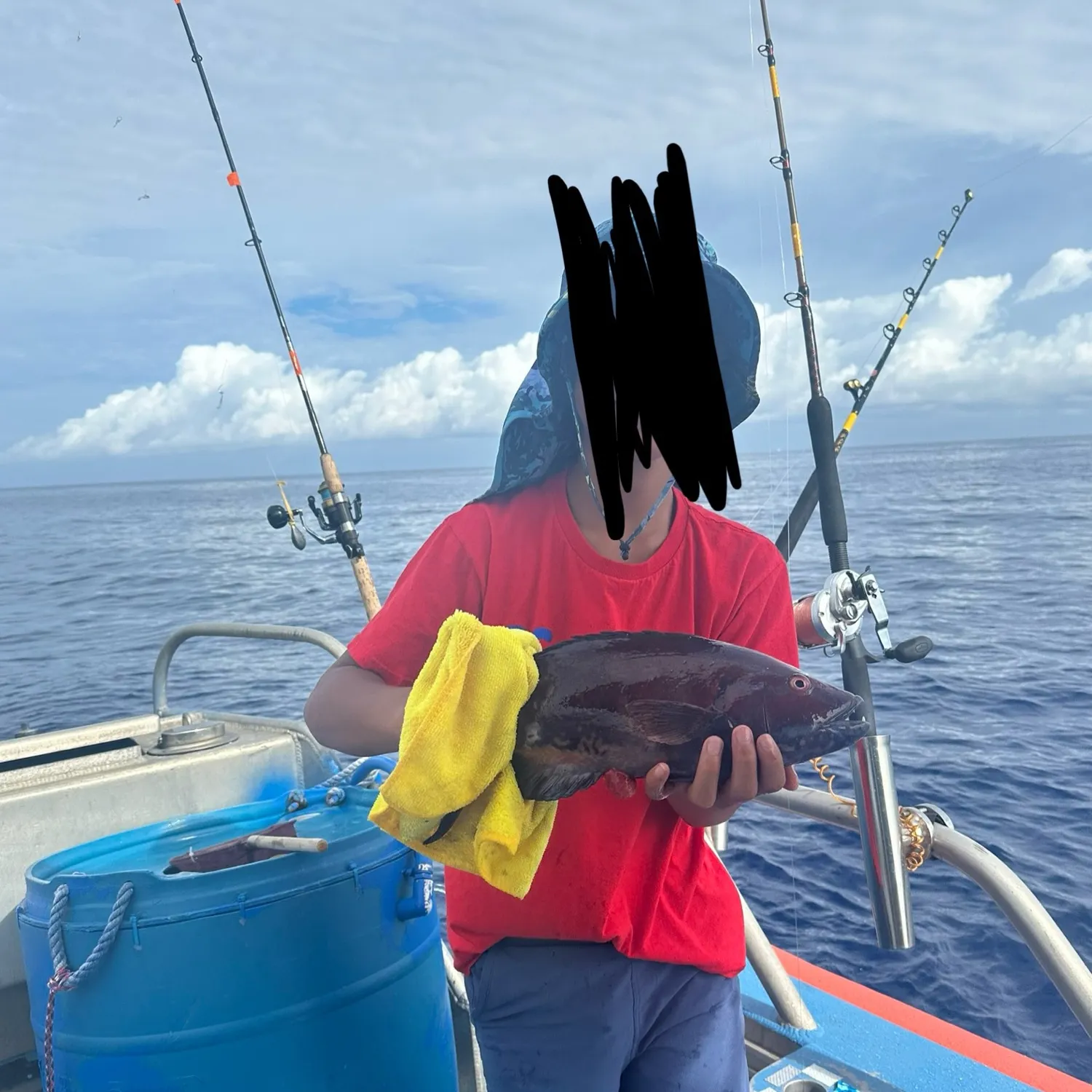 The most recent Hawaiian hogfish catches on Fishbrain