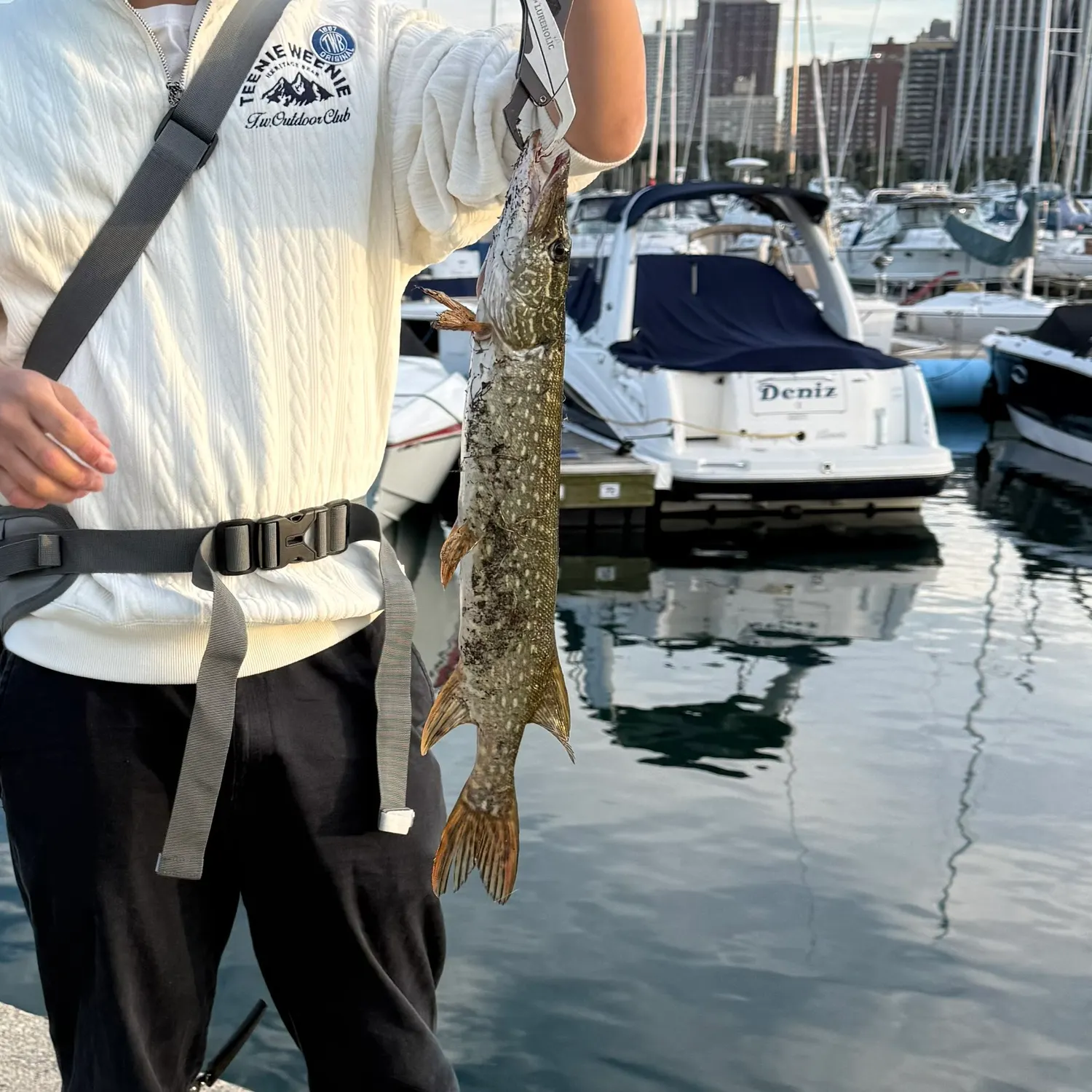 Northern pike caught on Fishbrain