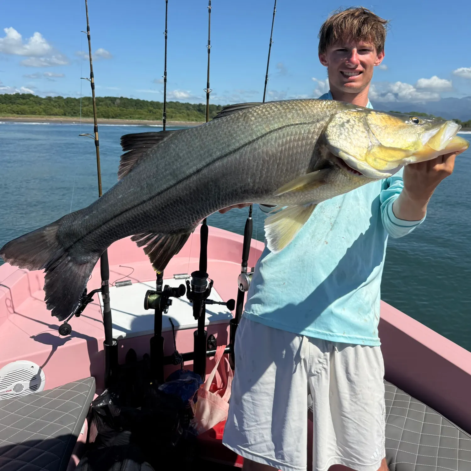 The most recent Black snook catches on Fishbrain