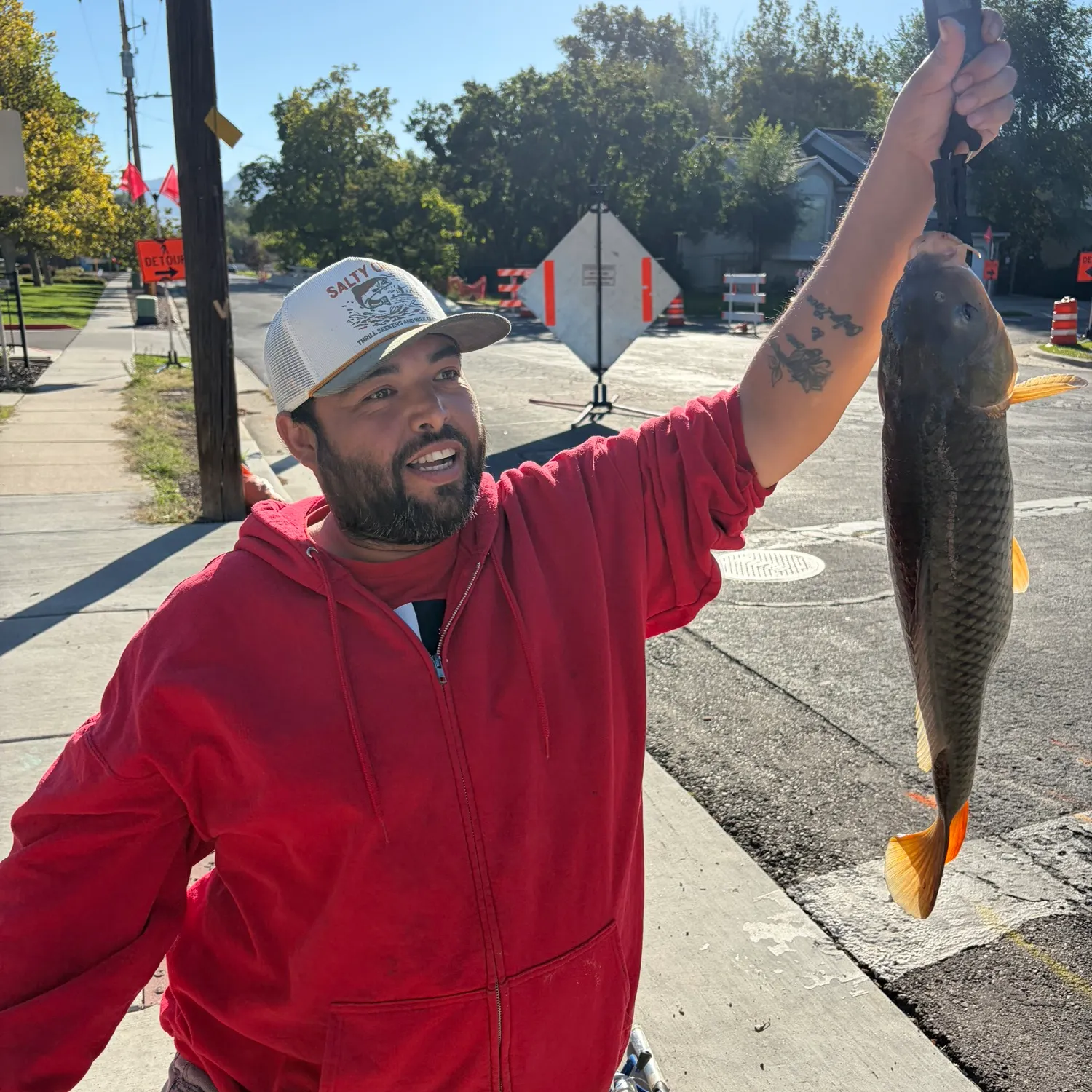 Common carp caught on Fishbrain